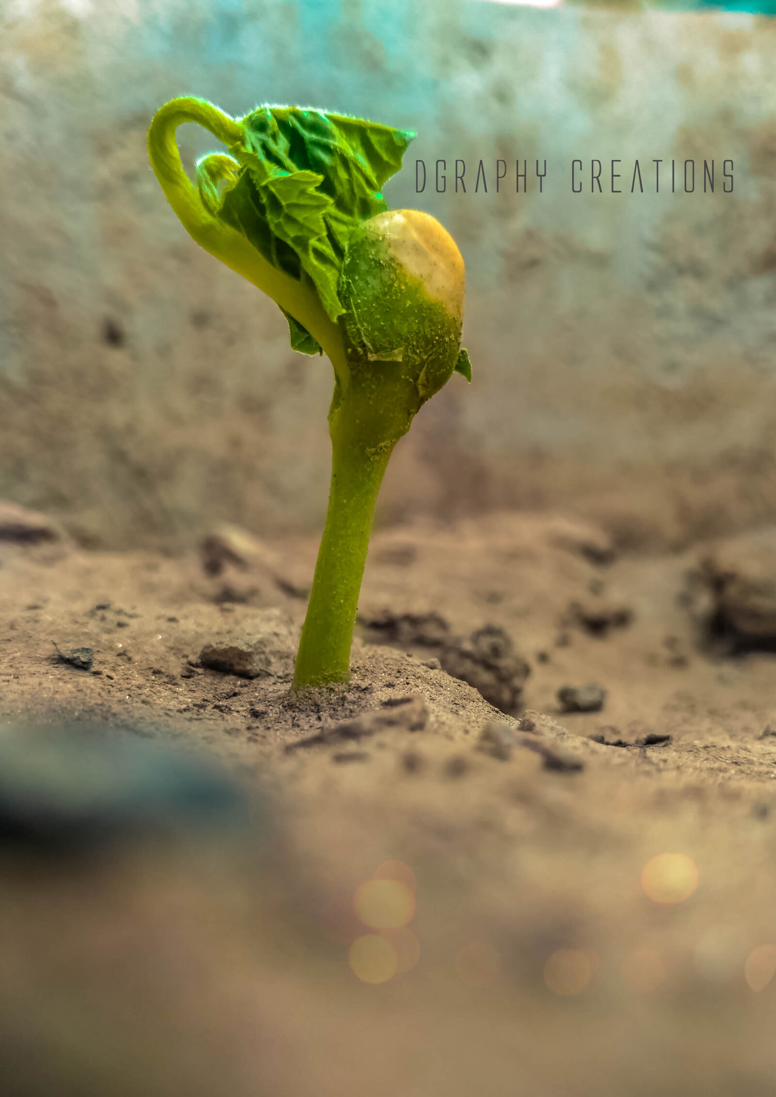 Xiaomi Redmi 3S sample photo. 35mm, 3sprime, abstract, photo photography