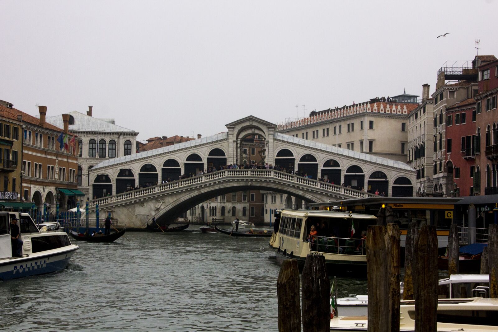 Canon EOS 60D sample photo. Italy, bridge, venice photography