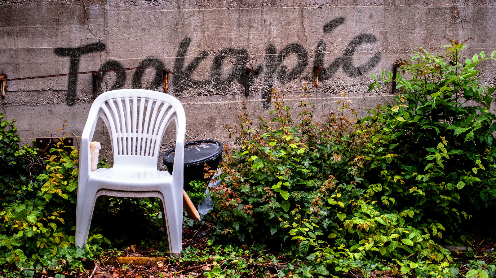 Nikon D3000 sample photo. Chair, garden, sign, spray photography