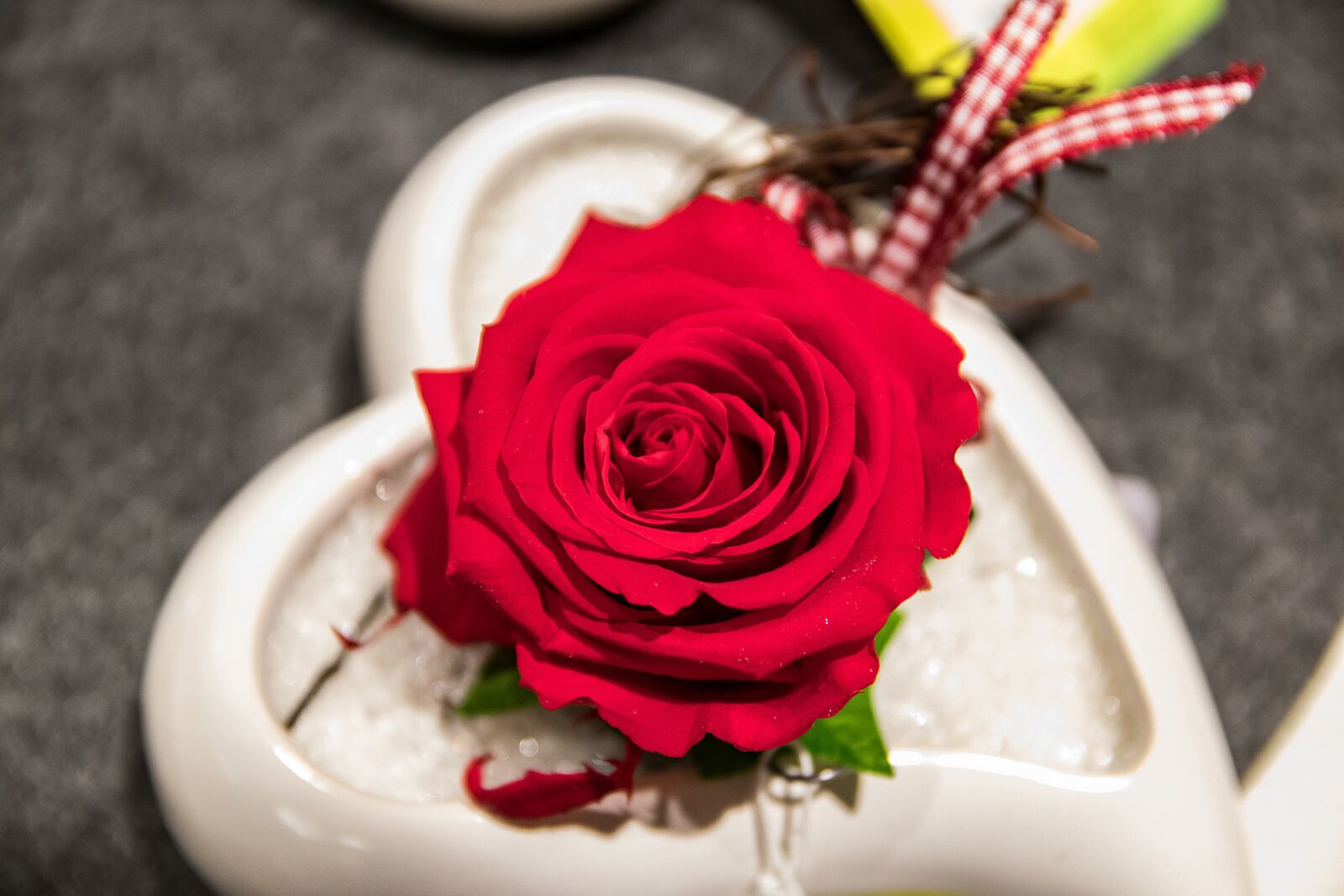 Canon EOS 80D sample photo. Rose, flower, blossom photography