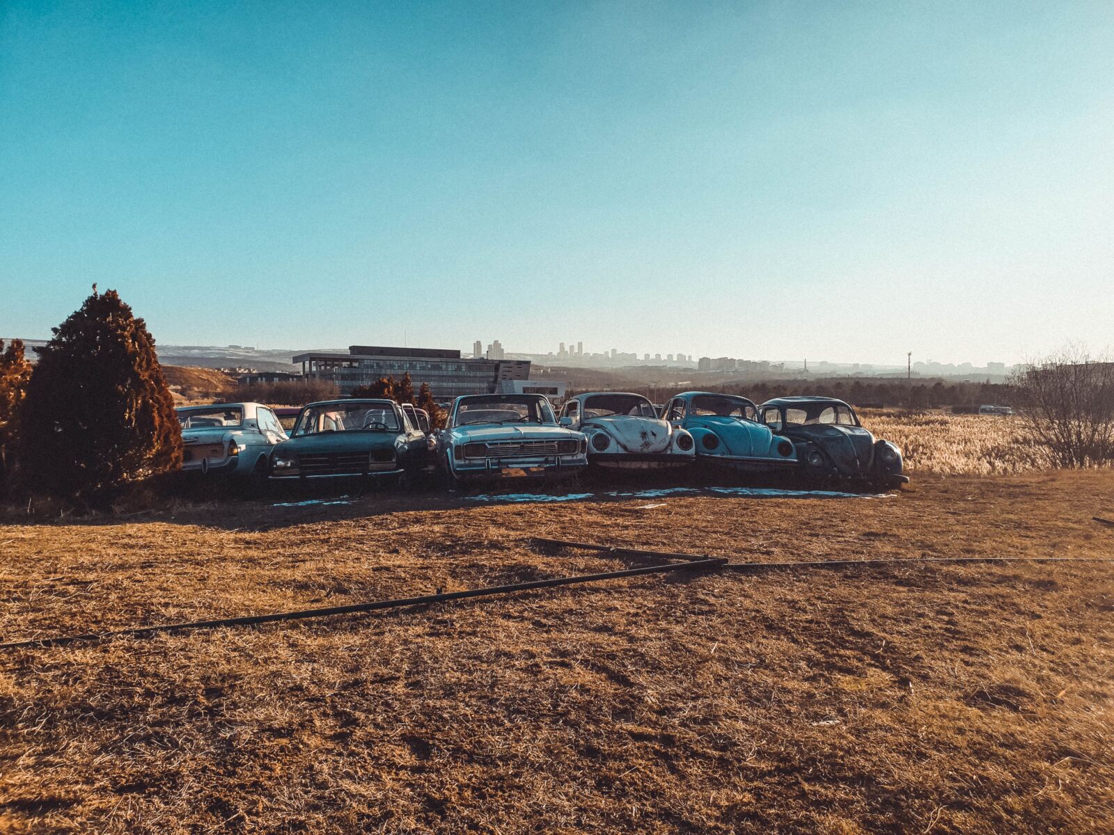 Samsung Galaxy S9+ sample photo. Bug, volkswagen, scrap photography
