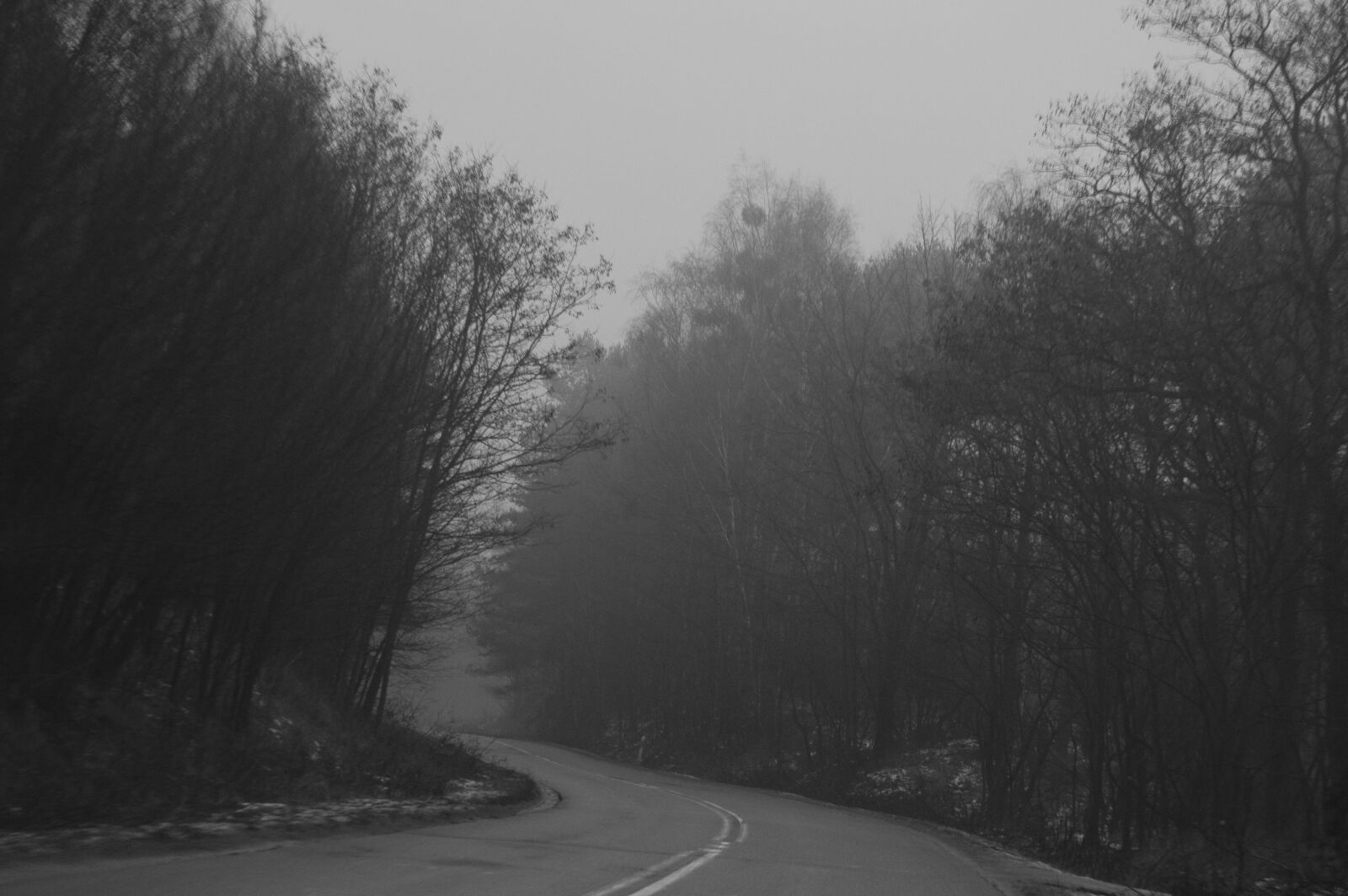 Nikon D3200 sample photo
