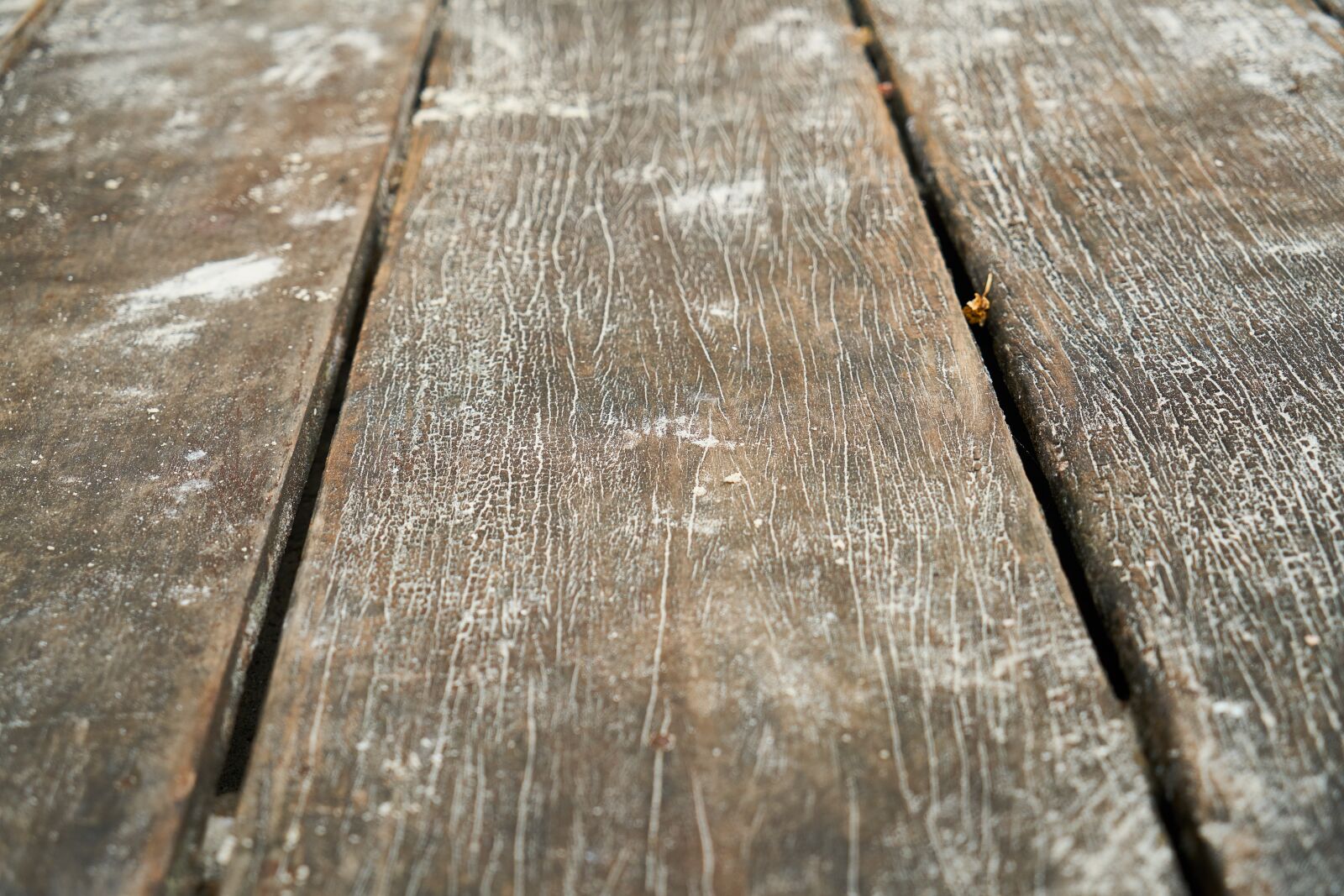 Sony a7R II sample photo. Wood, wooden, old photography