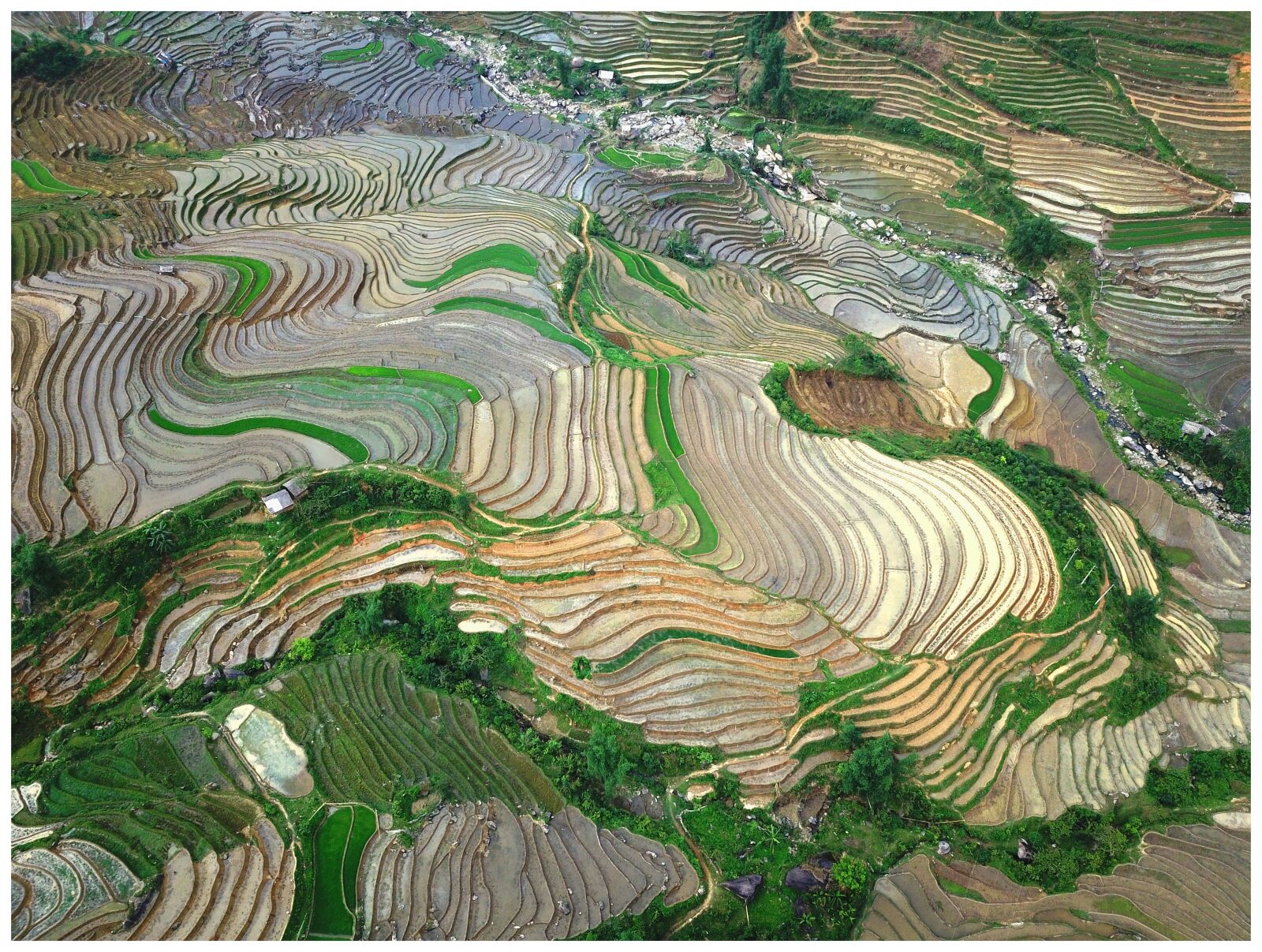 DJI FC220 sample photo. Rice field, landscape, mountain photography