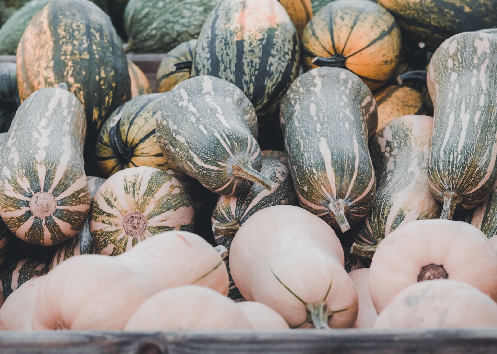 Fujifilm XF 55-200mm F3.5-4.8 R LM OIS sample photo. Pumpkin, autumn, vegetables photography