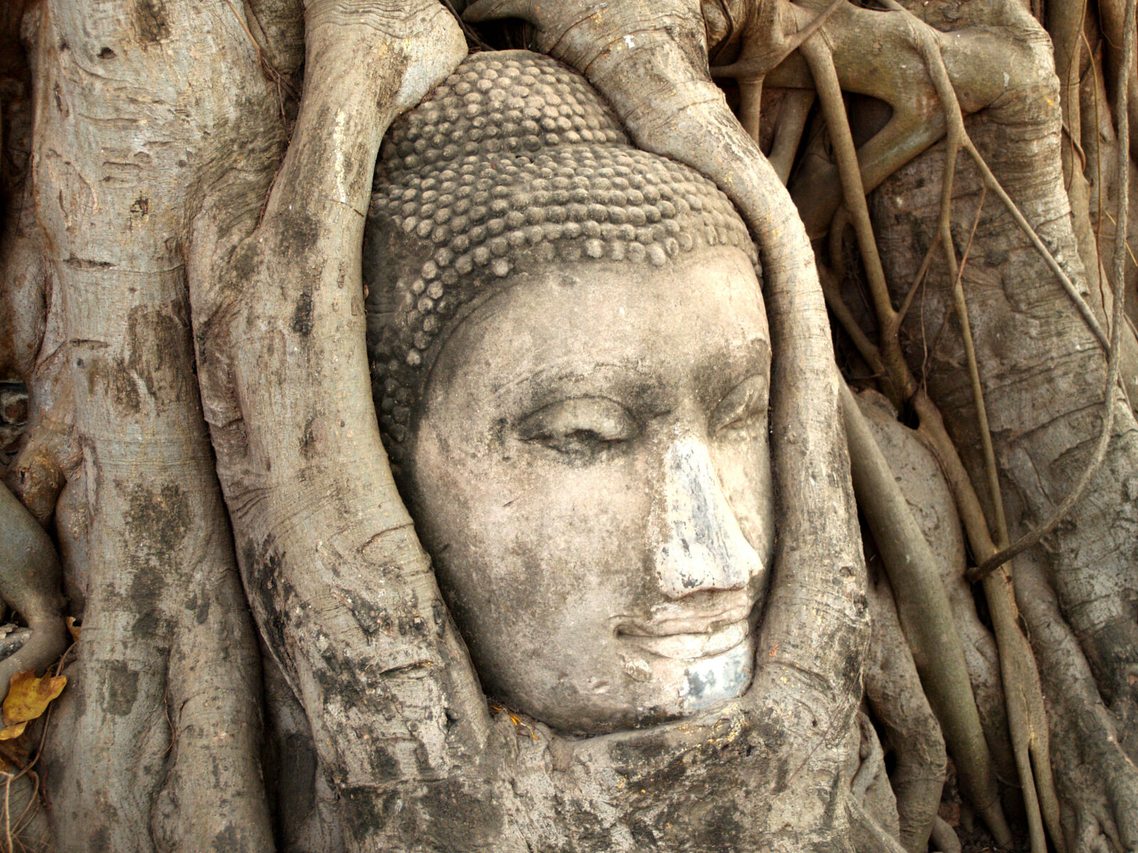 Olympus E-300 (EVOLT E-300) sample photo. Ancient, architecture, art, asia photography