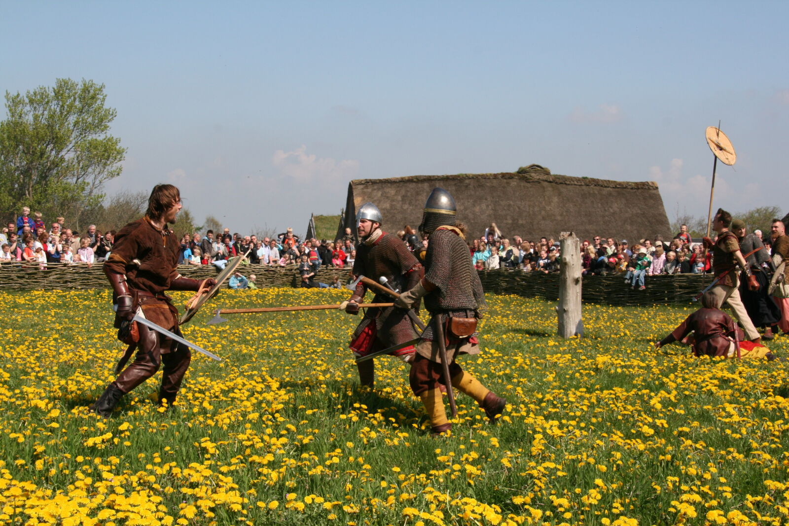 Sigma 18-200mm f/3.5-6.3 DC OS sample photo. Vikings photography