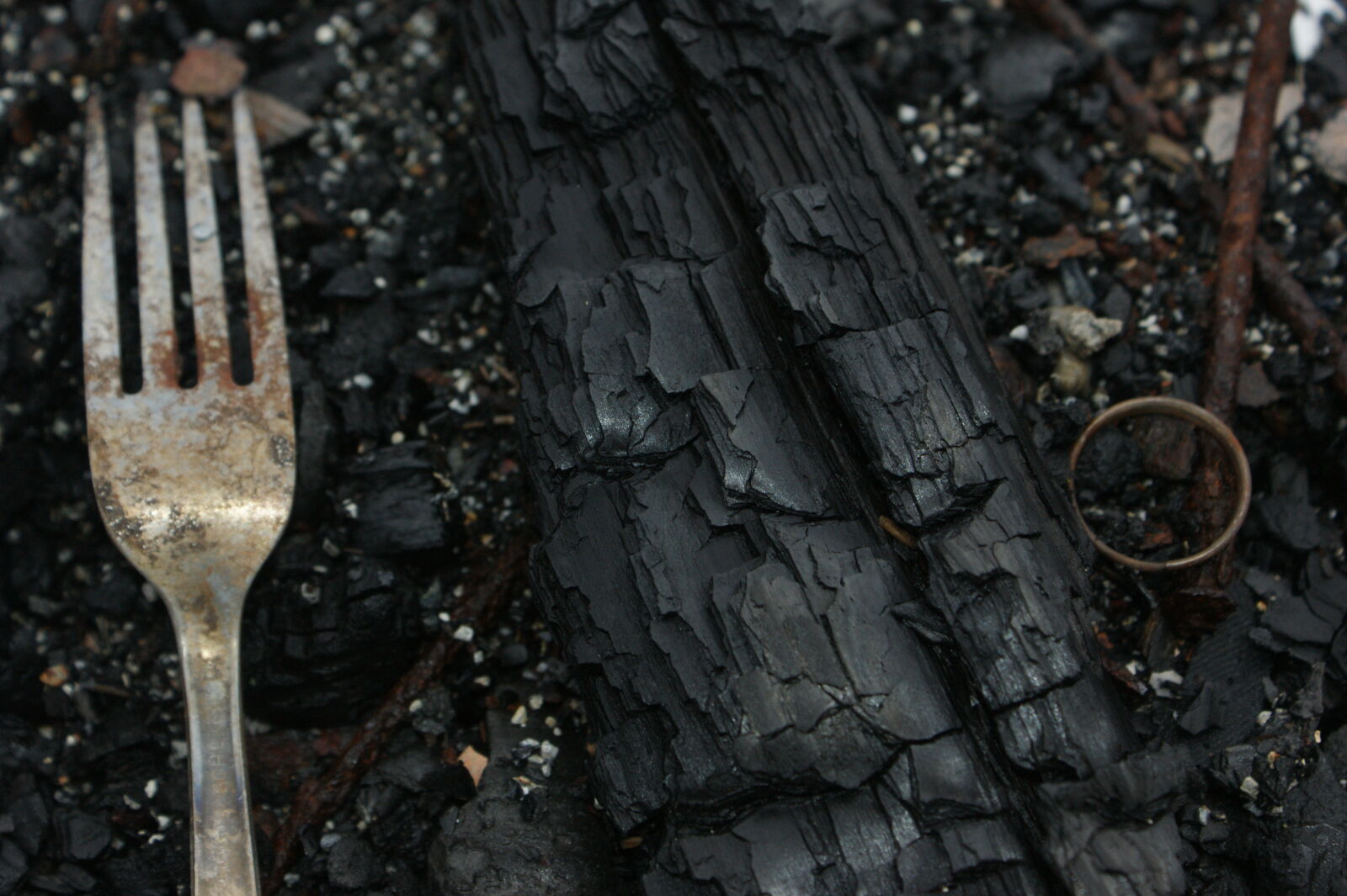 Sony Alpha DSLR-A350 + Sony DT 18-70mm F3.5-5.6 sample photo. Bark, black, decay, fire photography