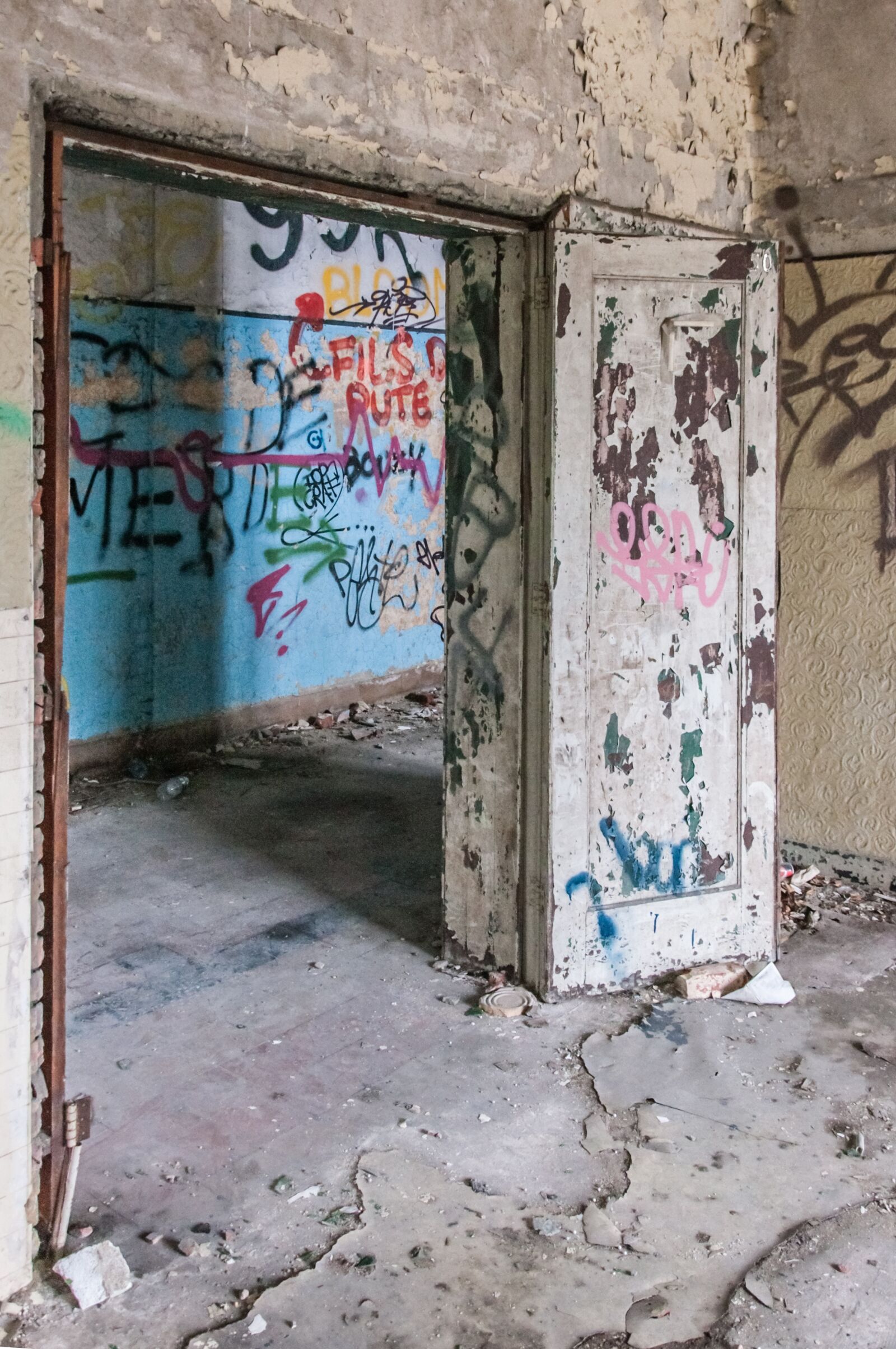 Nikon D90 sample photo. Background, building, leave photography