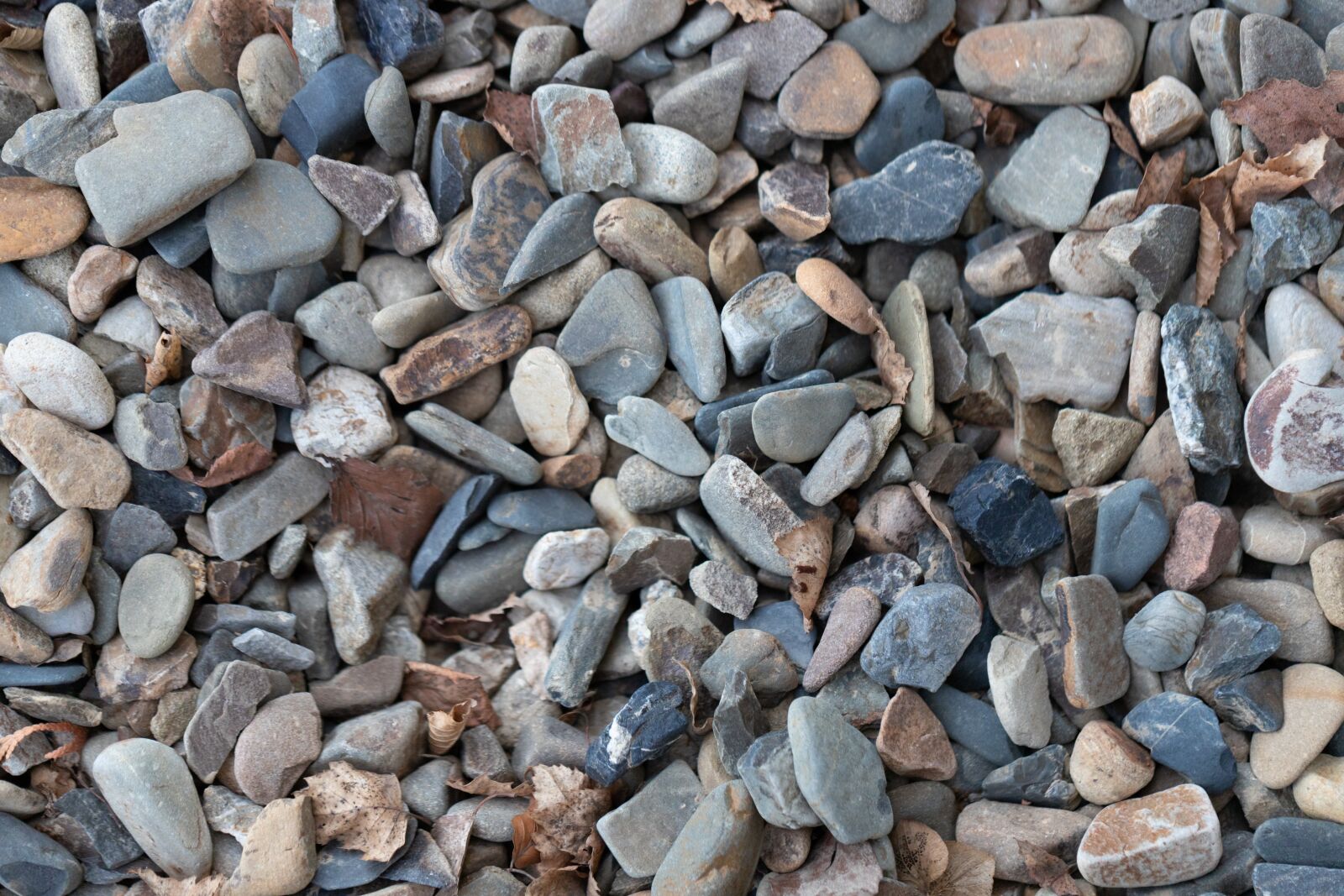 Canon EOS 6D Mark II sample photo. Stones, background, texture photography