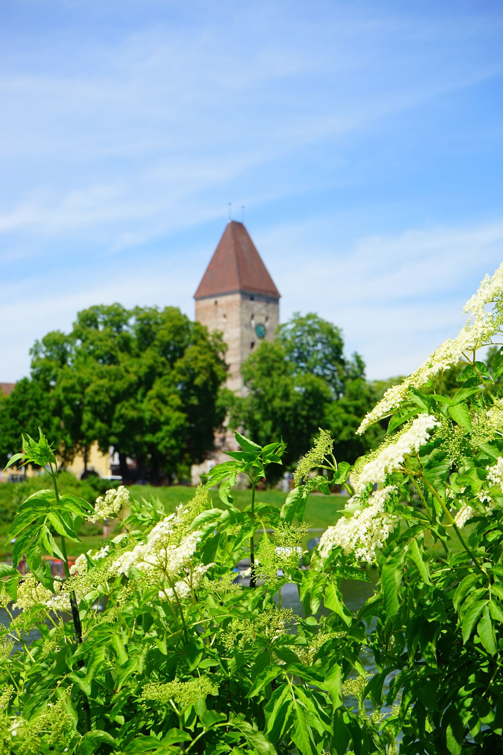 Sony a7 + Sony FE 28-70mm F3.5-5.6 OSS sample photo. Goose tower, tower, ulm photography