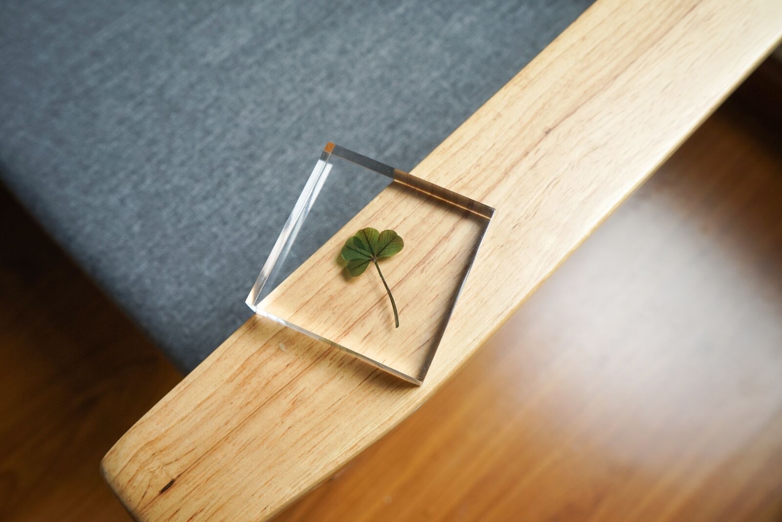 Sony FE 28-70mm F3.5-5.6 OSS sample photo. Four-leaf clover, glass, crystal photography