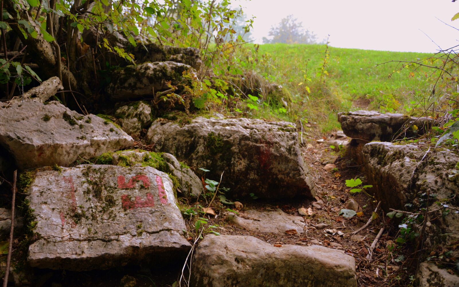 Nikon D7100 sample photo. Stones, the european path photography