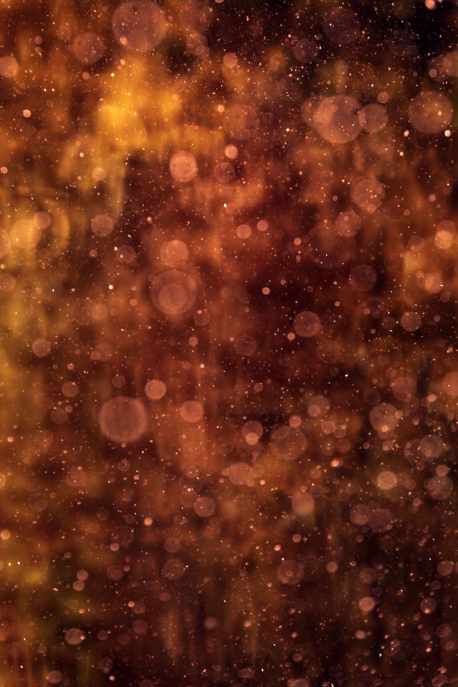Nikon D800 sample photo. Abstract, art, background photography