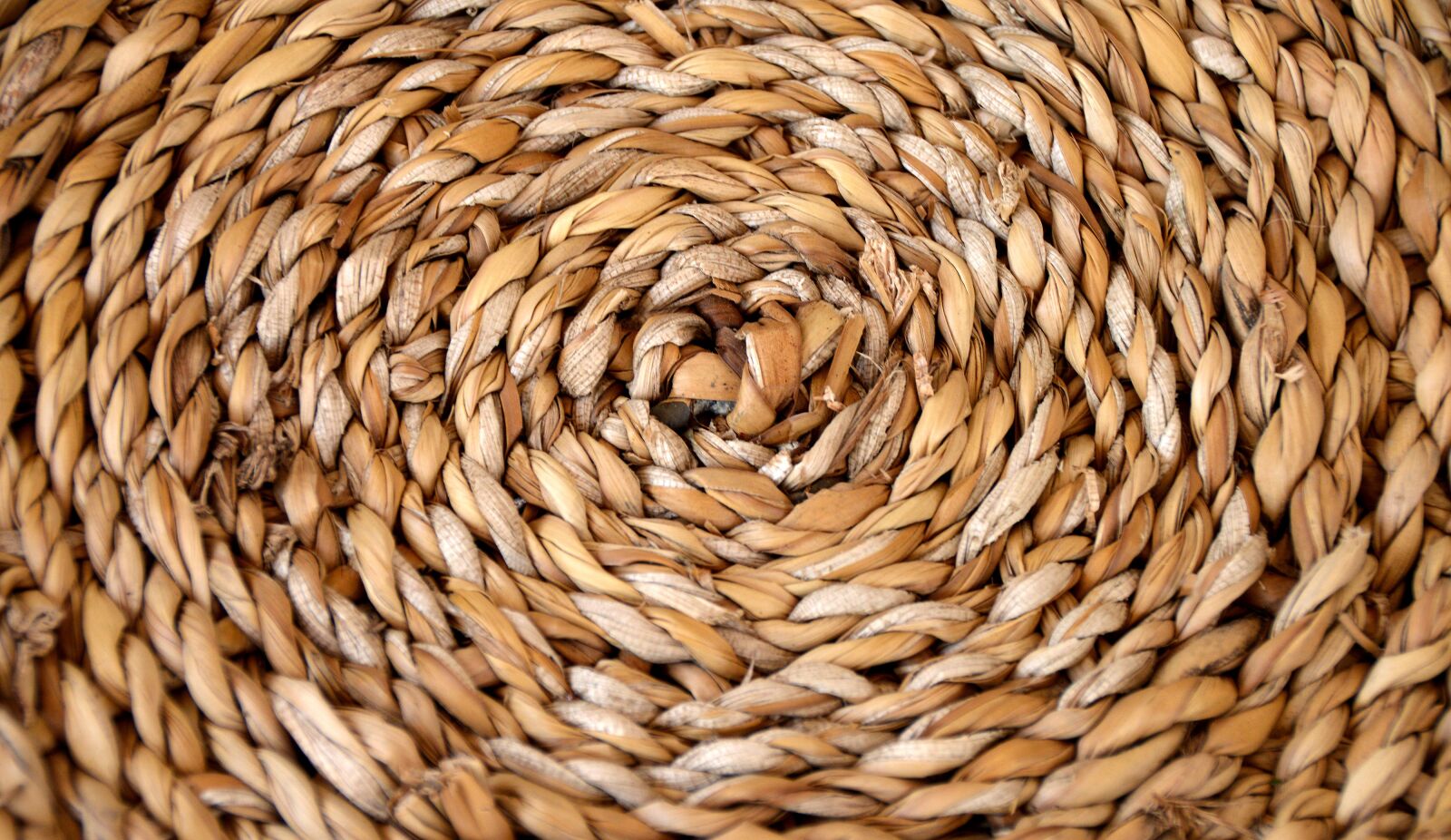 Nikon D3200 sample photo. Basket, braid, structure photography