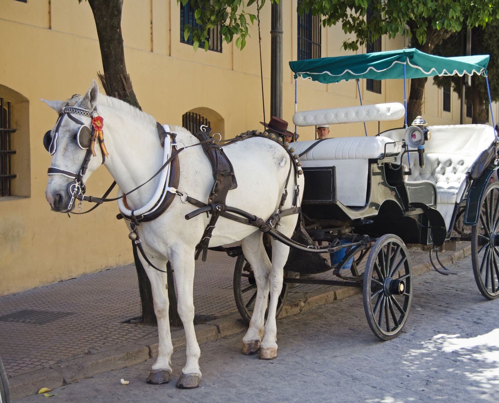 Nikon D5100 sample photo. Horse and carriage, tourism photography
