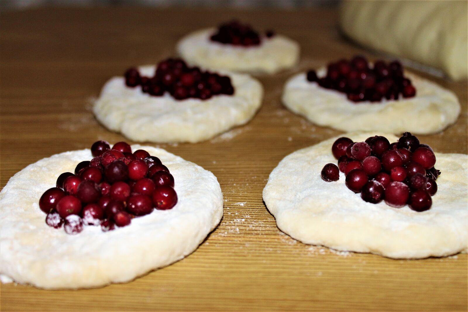 Canon EOS 1100D (EOS Rebel T3 / EOS Kiss X50) sample photo. Pies, buns, muffin photography