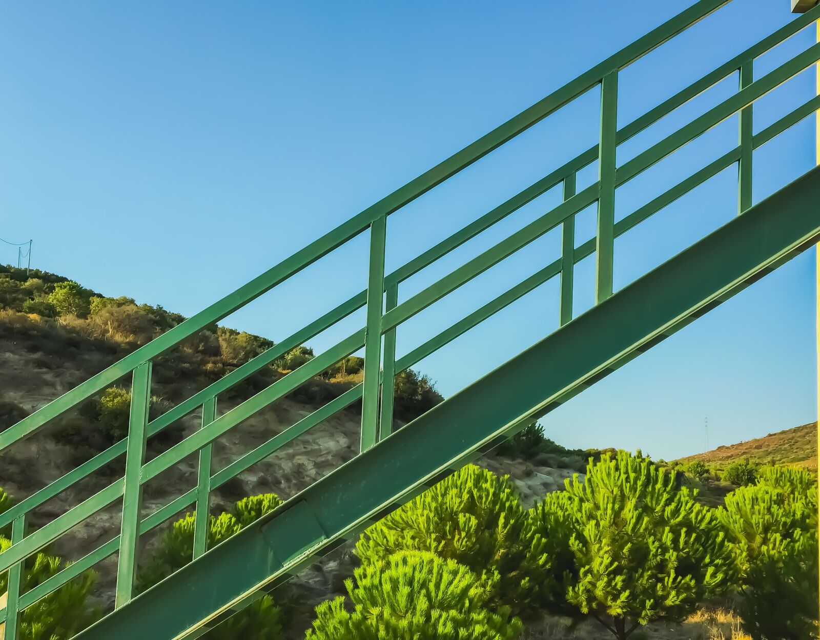 Apple iPhone 6s sample photo. Green, nature, stairs photography