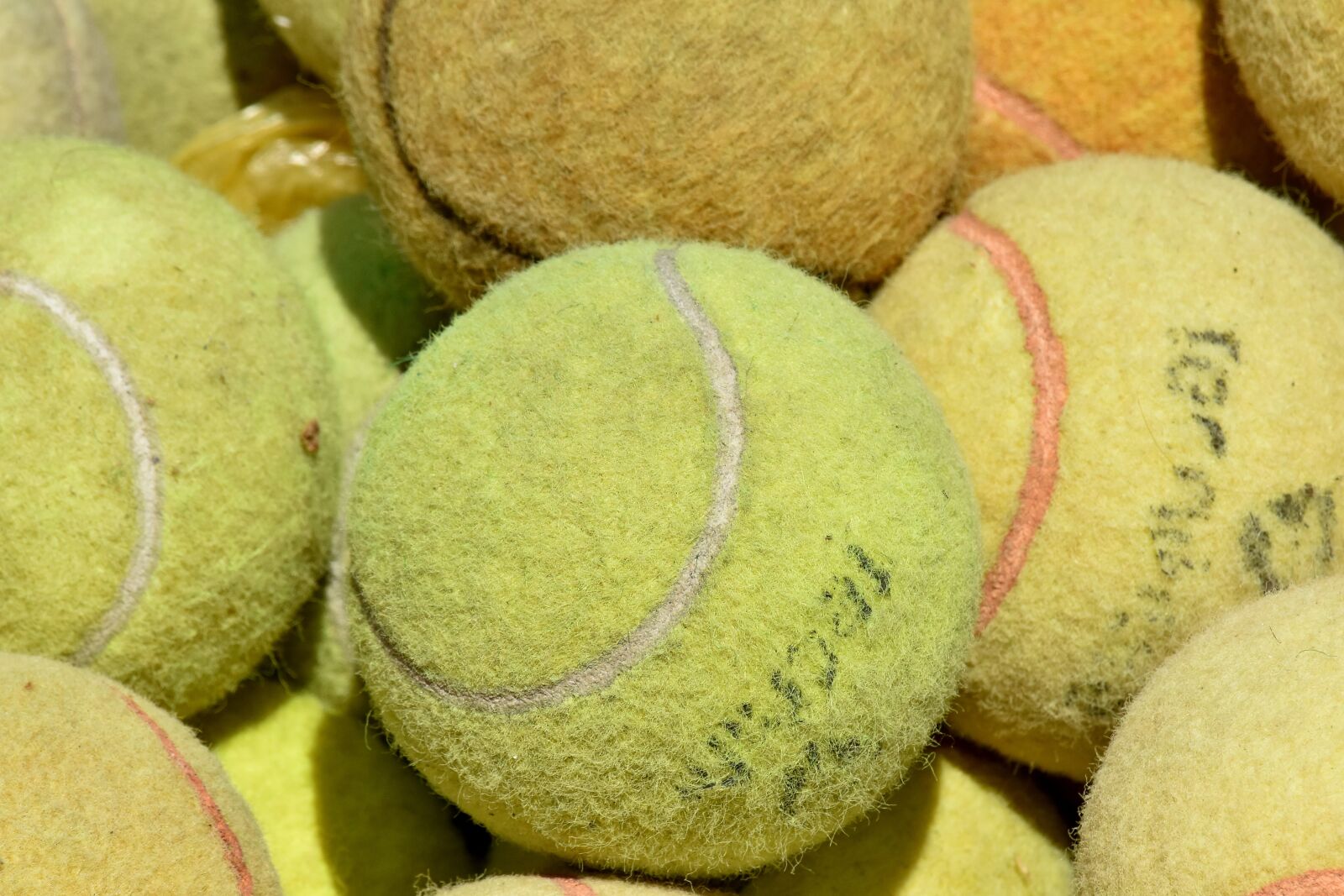 Nikon D5500 sample photo. Ball, pile, tennis, equipment photography