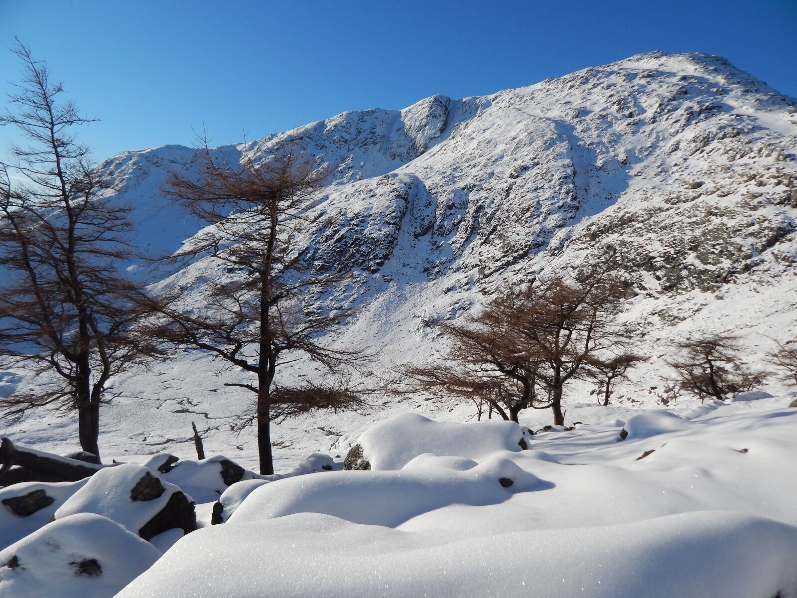Nikon Coolpix L820 sample photo. Snow, mountain, trees photography