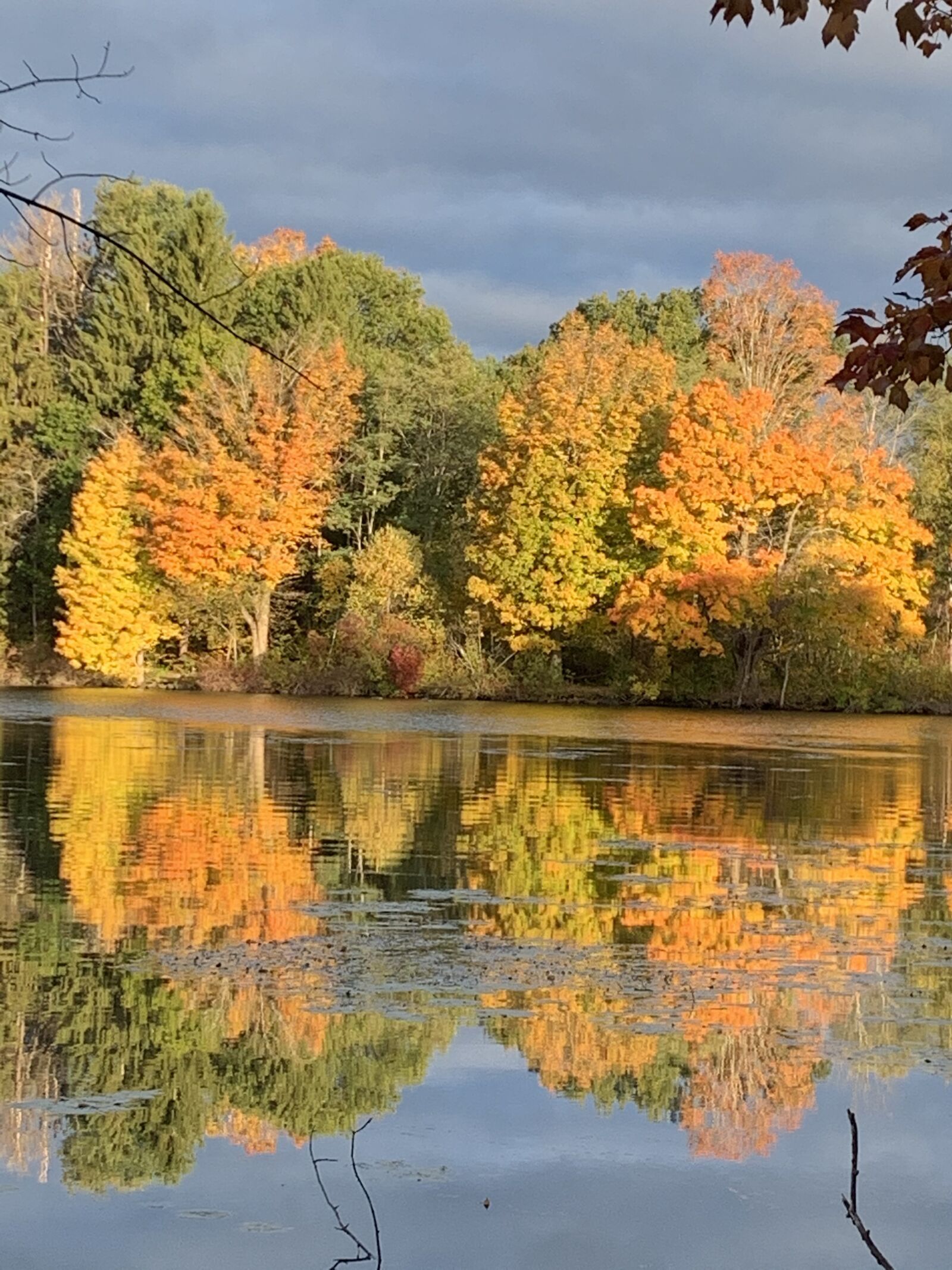 Apple iPhone XR sample photo. Fall, trees, river photography