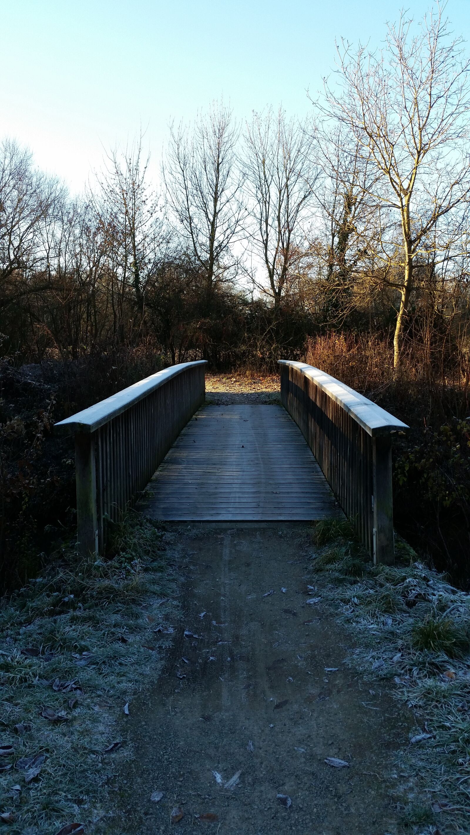 Samsung Galaxy S5 sample photo. Nature, landscape, bridge photography