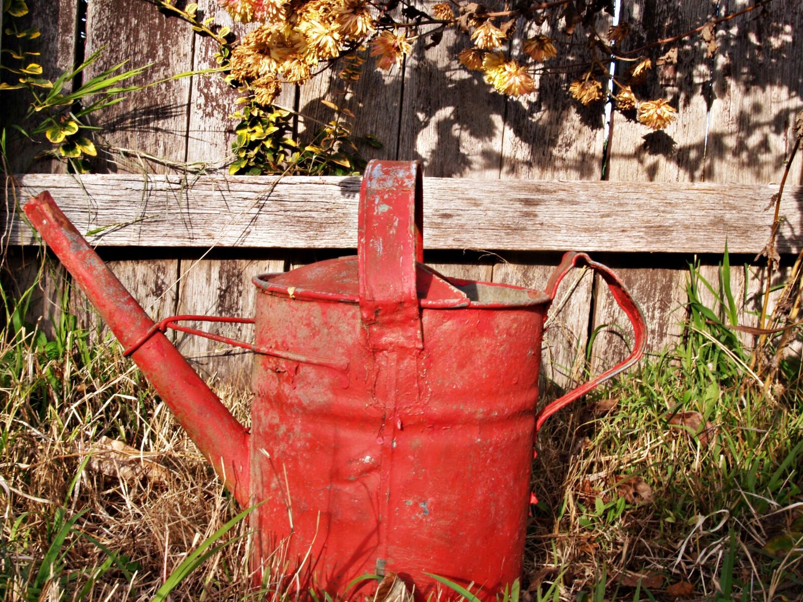 Olympus E-300 (EVOLT E-300) sample photo. Watering can, red, old photography