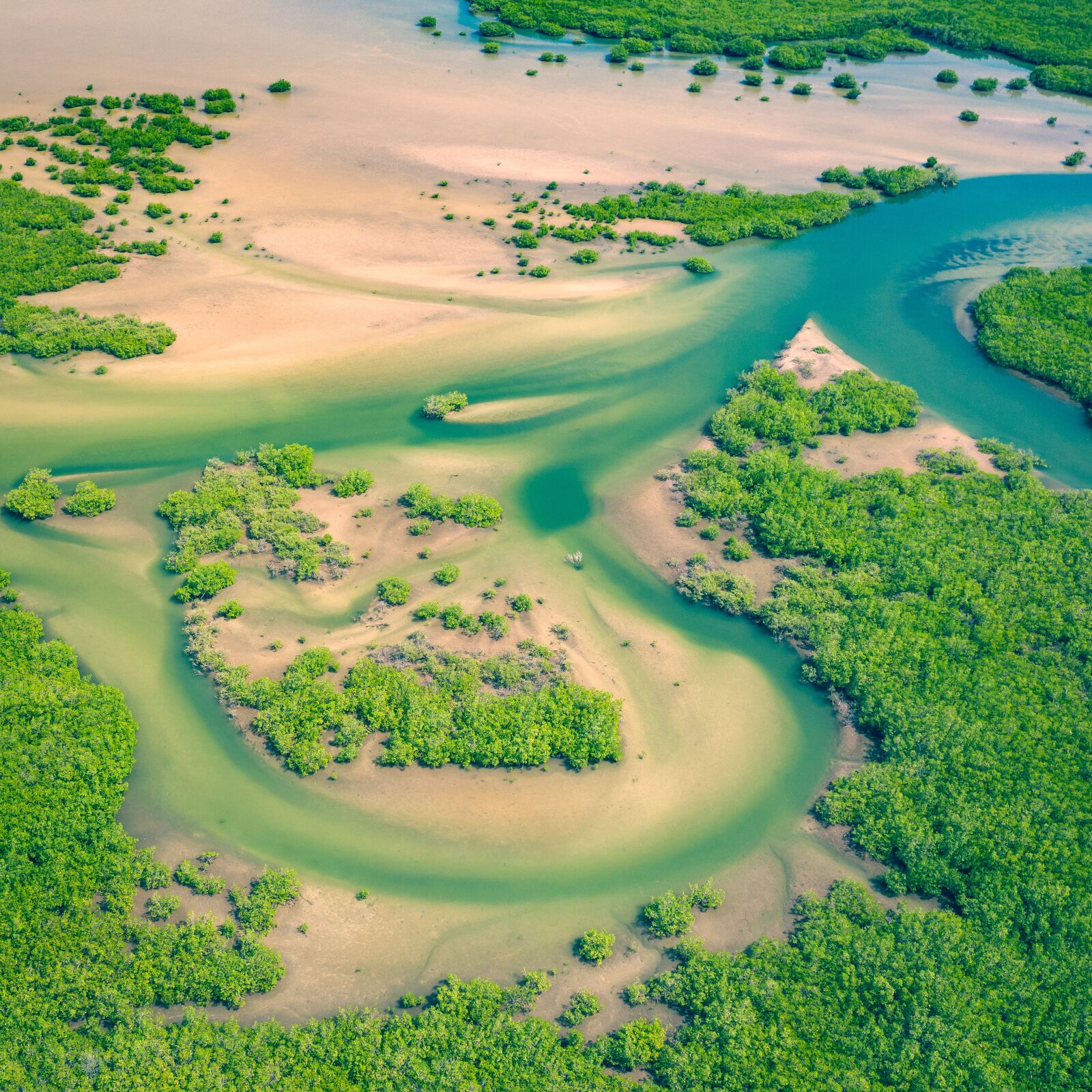Hasselblad L1D-20c sample photo. Aerial, senegal, africa photography