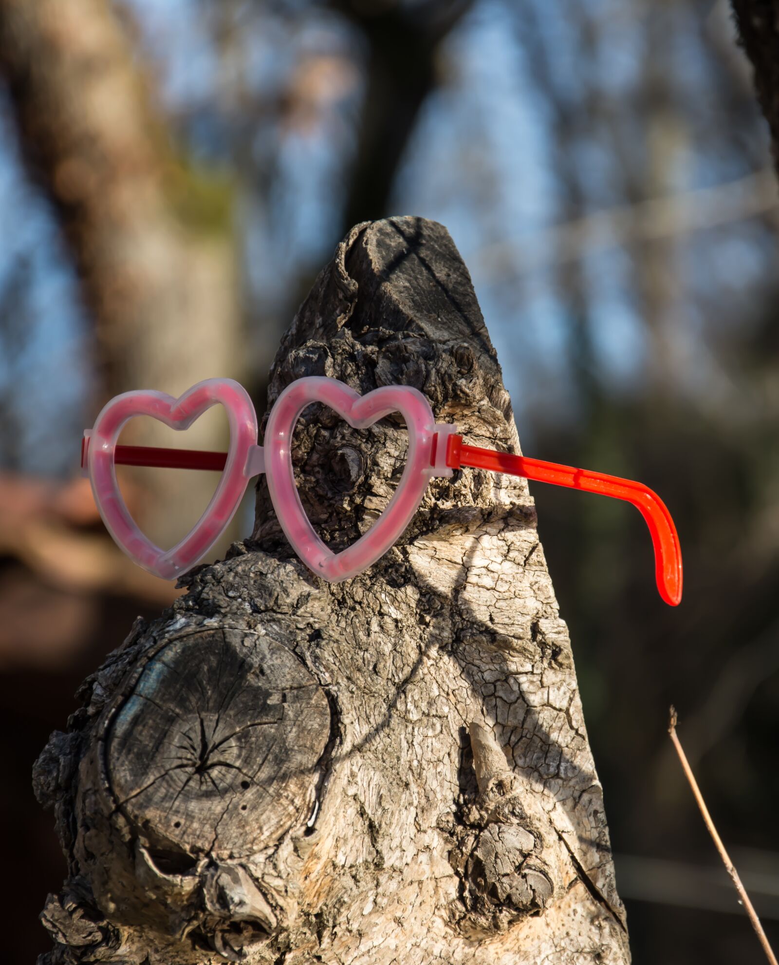 Nikon D7200 sample photo. Fun, tree, glasses photography