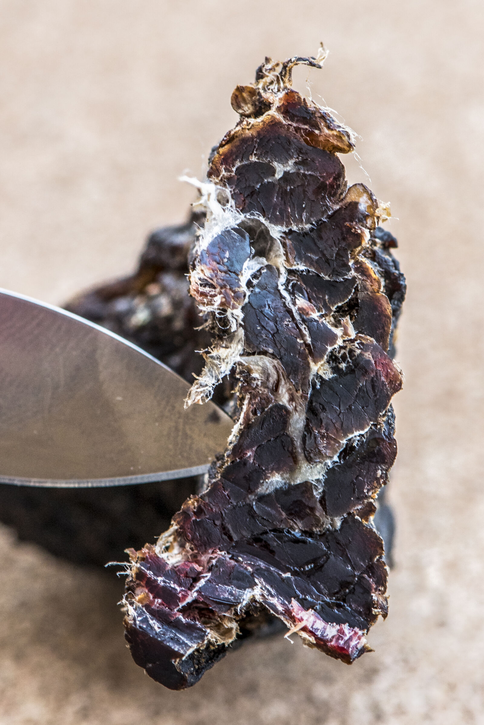 Nikon D750 + Nikon AF-S Micro-Nikkor 105mm F2.8G IF-ED VR sample photo. African, biltong, delicacy, dried photography
