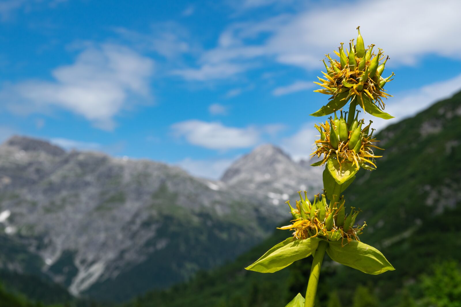 Nikon D5300 sample photo. Lech, vorarlbeg, austria photography
