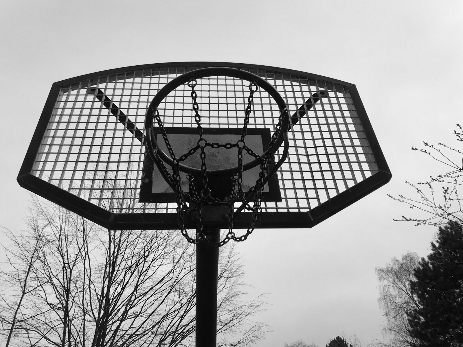 iPhone 7 back camera 3.99mm f/1.8 sample photo. Basketball hoop, sport, basketball photography