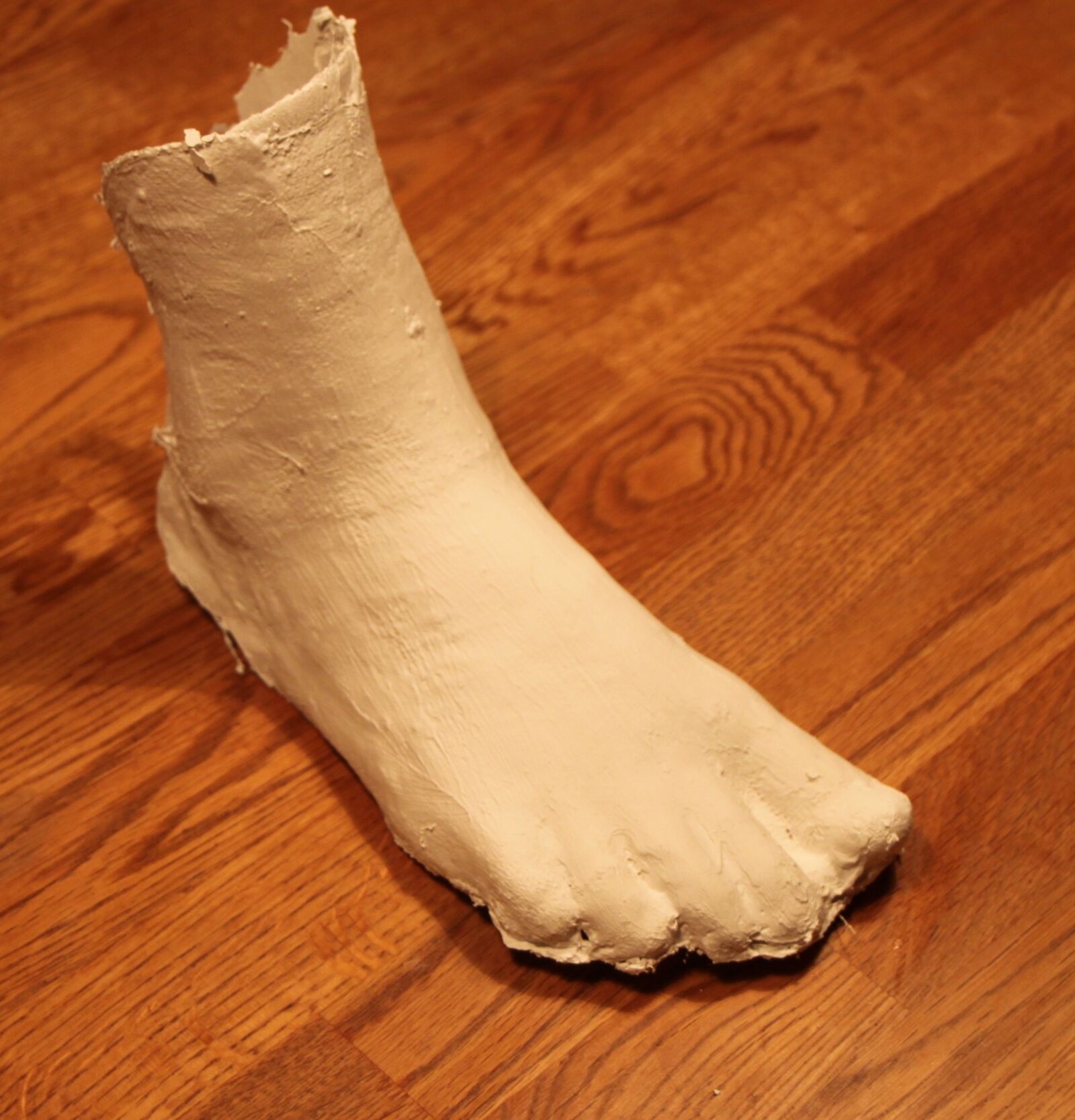 Canon EOS 500D (EOS Rebel T1i / EOS Kiss X3) sample photo. Part of the body photography