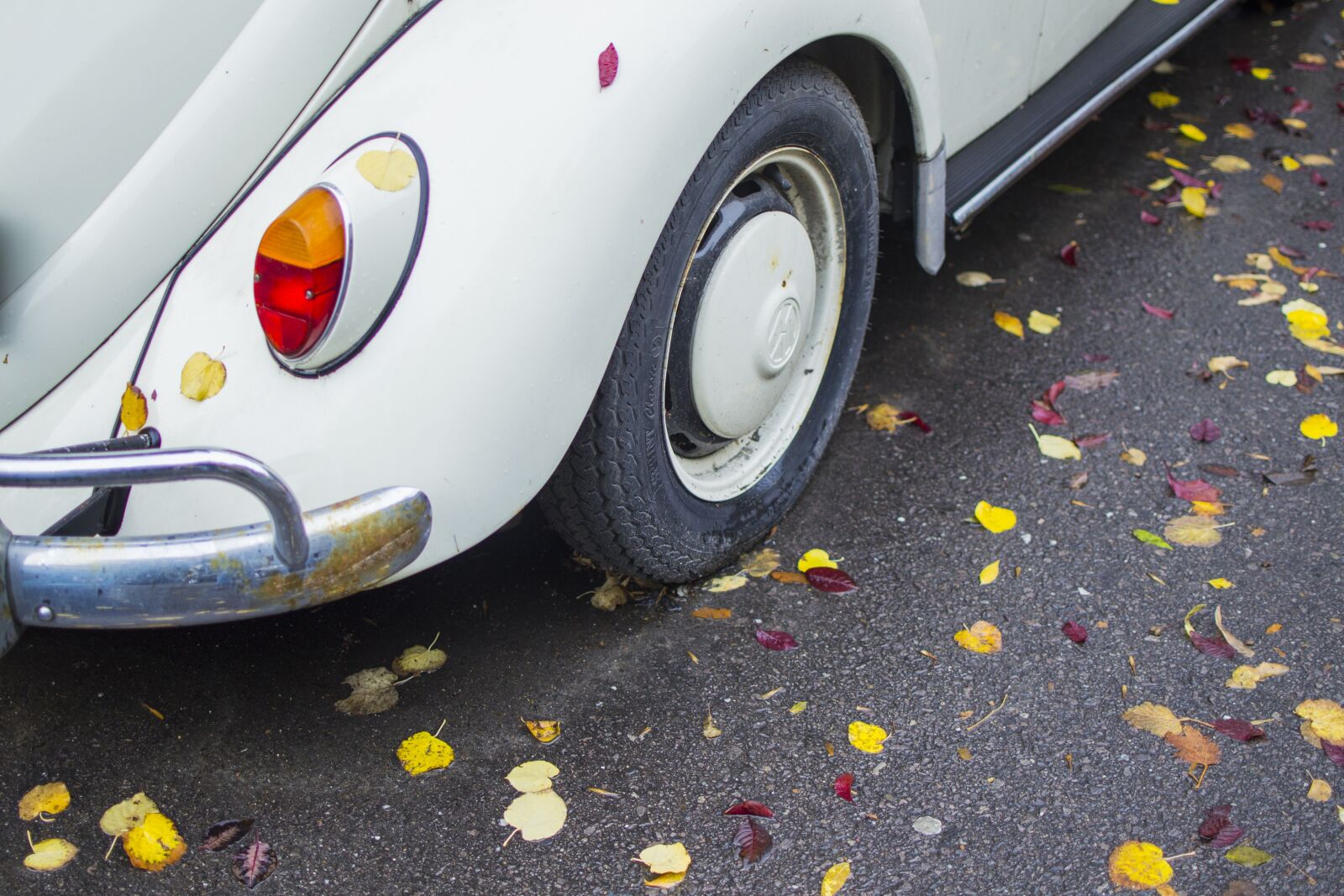Nikon D3100 sample photo. Leaves, car, leaf photography