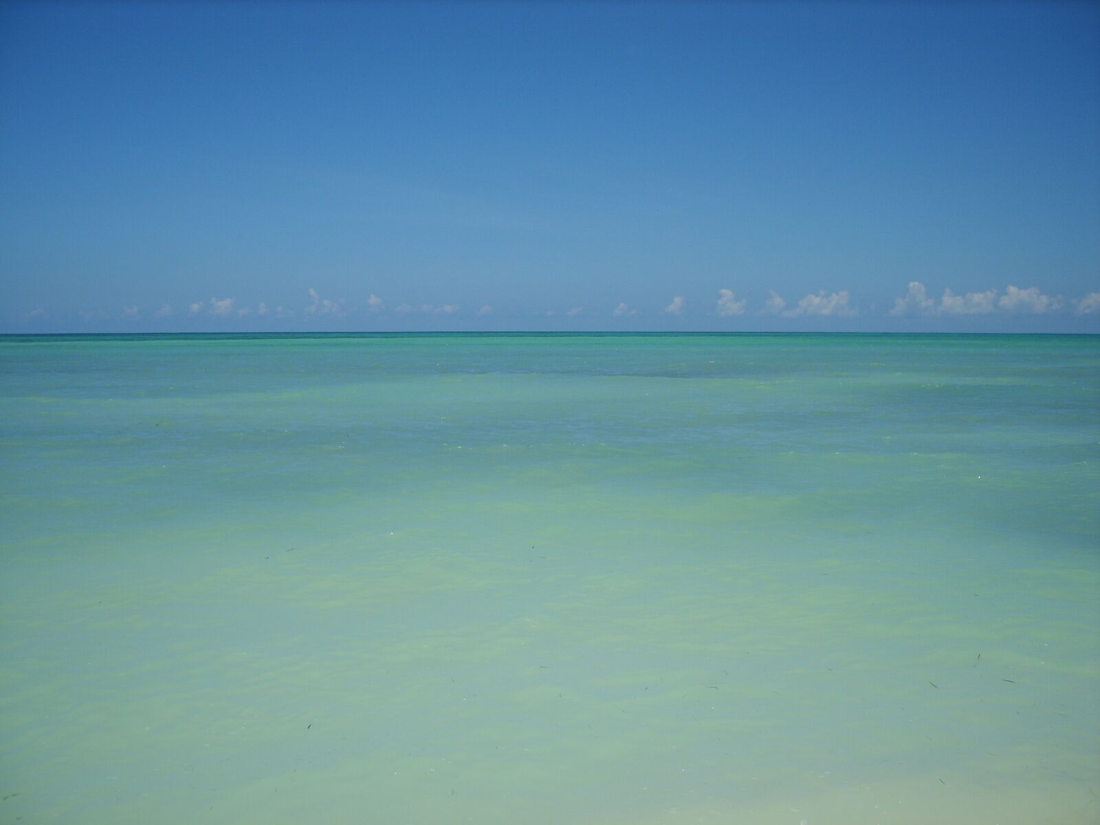 Samsung Digimax S830 / Kenox S830 sample photo. Cuba, cayo levisa, caribbean photography
