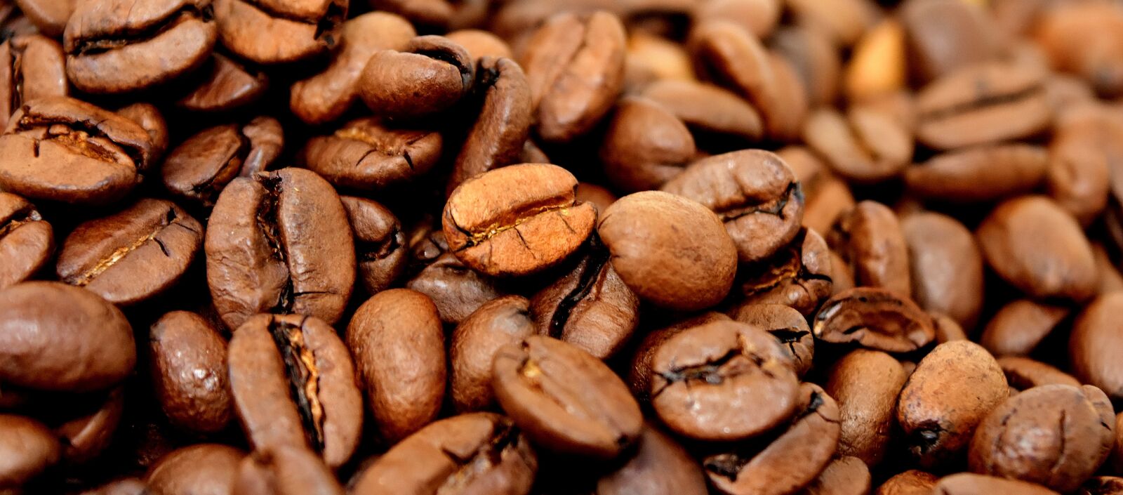 Nikon D7200 sample photo. Coffee beans, coffee, benefit photography