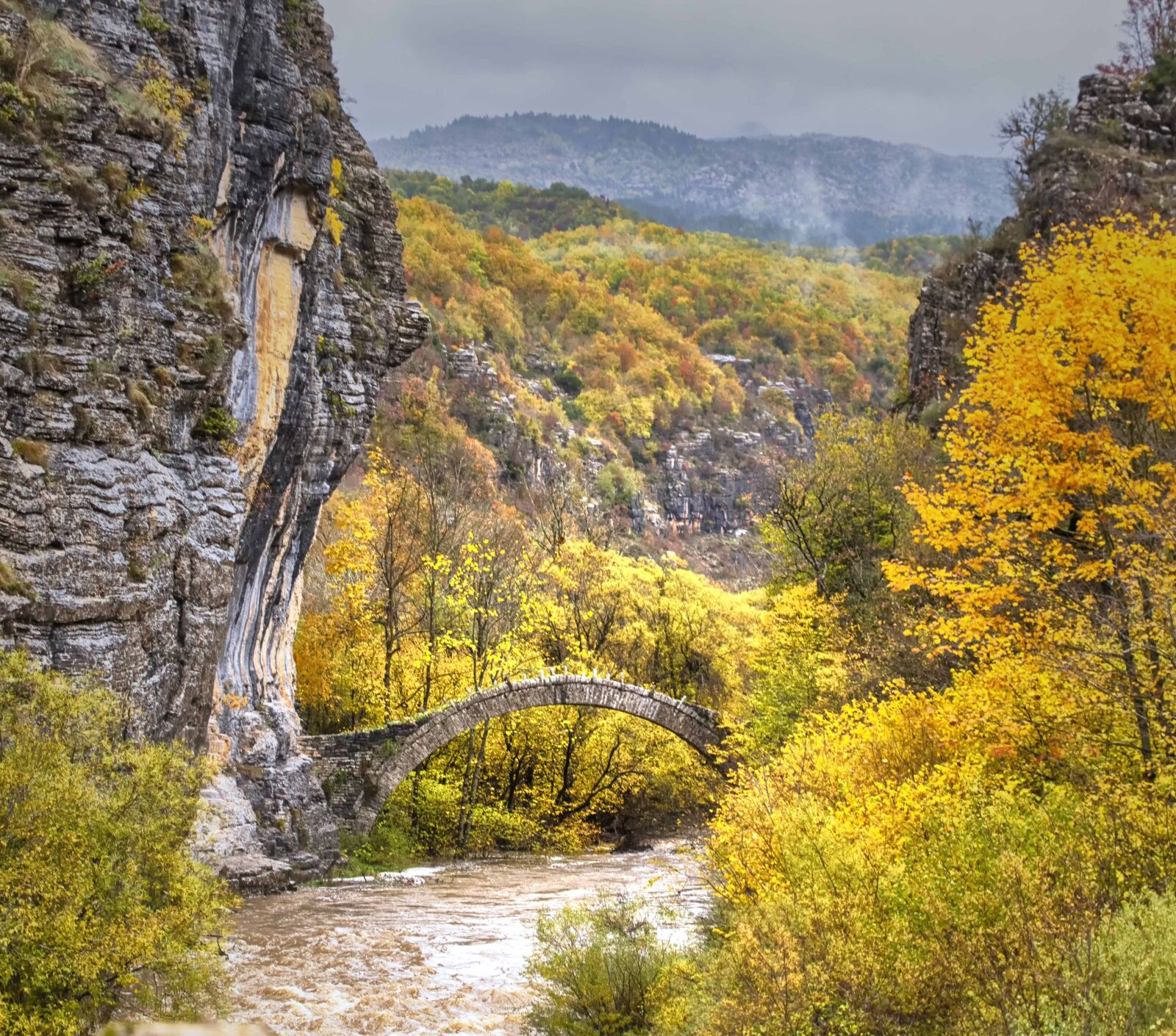 Tamron SP 24-70mm F2.8 Di VC USD sample photo. Bridge, autumn, forest photography