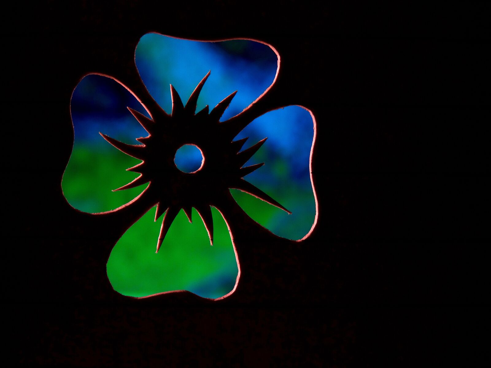 Sony Cyber-shot DSC-HX300 sample photo. Flower, contour, outlines photography
