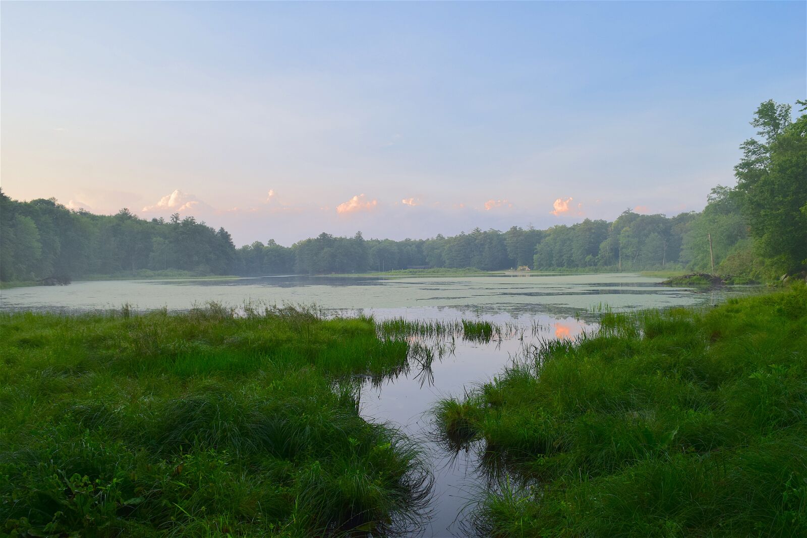 Nikon D3300 sample photo. Lake, evening, nature photography