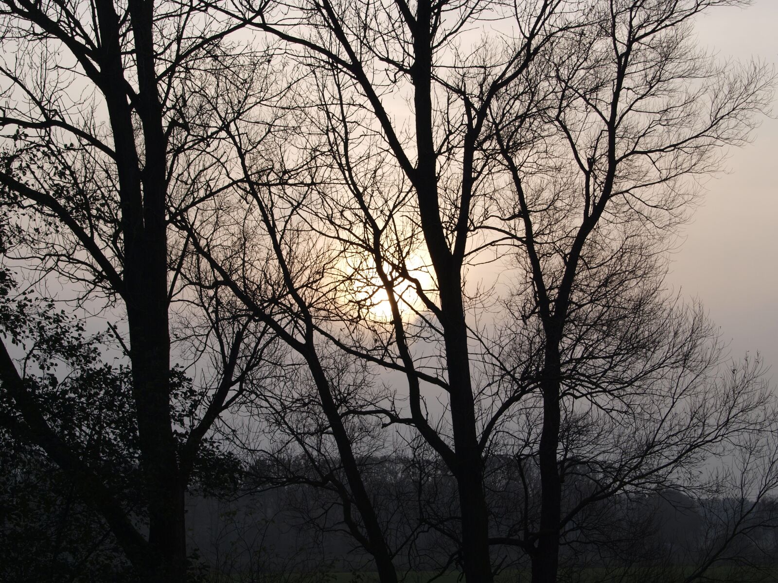 Olympus E-420 (EVOLT E-420) sample photo. Autumn, fog, atmosphere photography