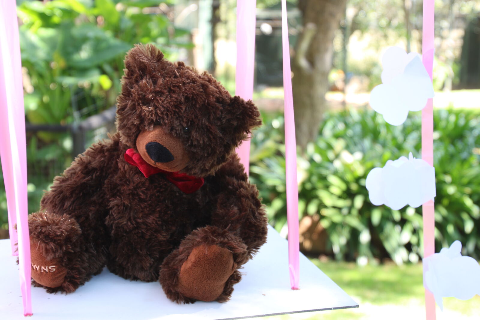 Canon EOS 7D Mark II sample photo. Baby, bear, brown, clouds photography