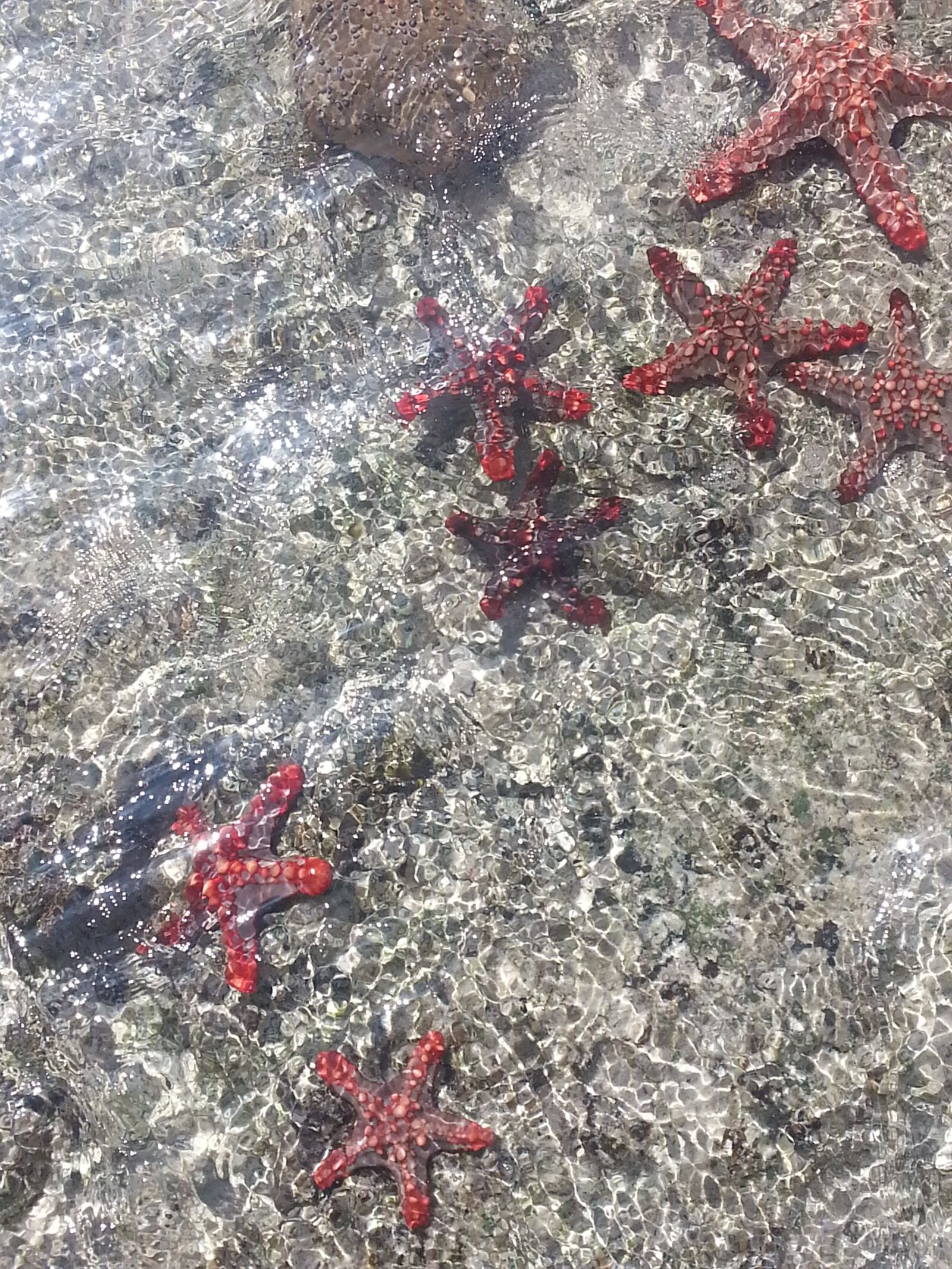 Samsung Galaxy Note2 sample photo. Zanzibar, ocean, transparent photography
