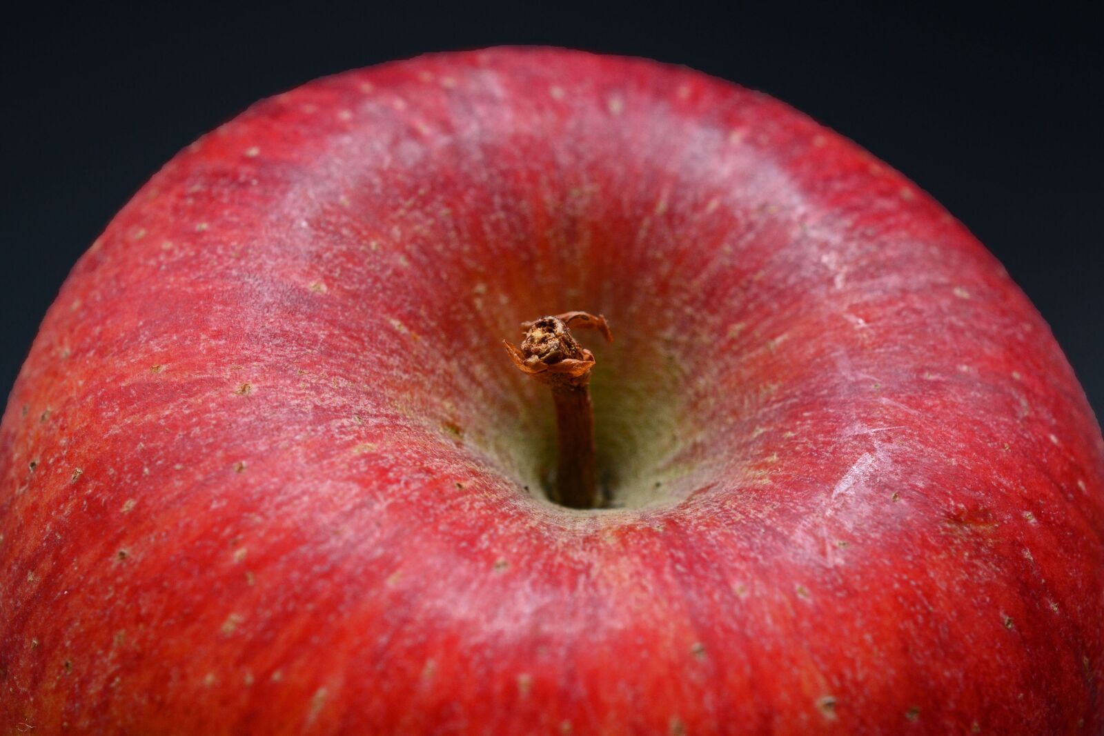 Nikon D7100 sample photo. Apple, fruit, red photography