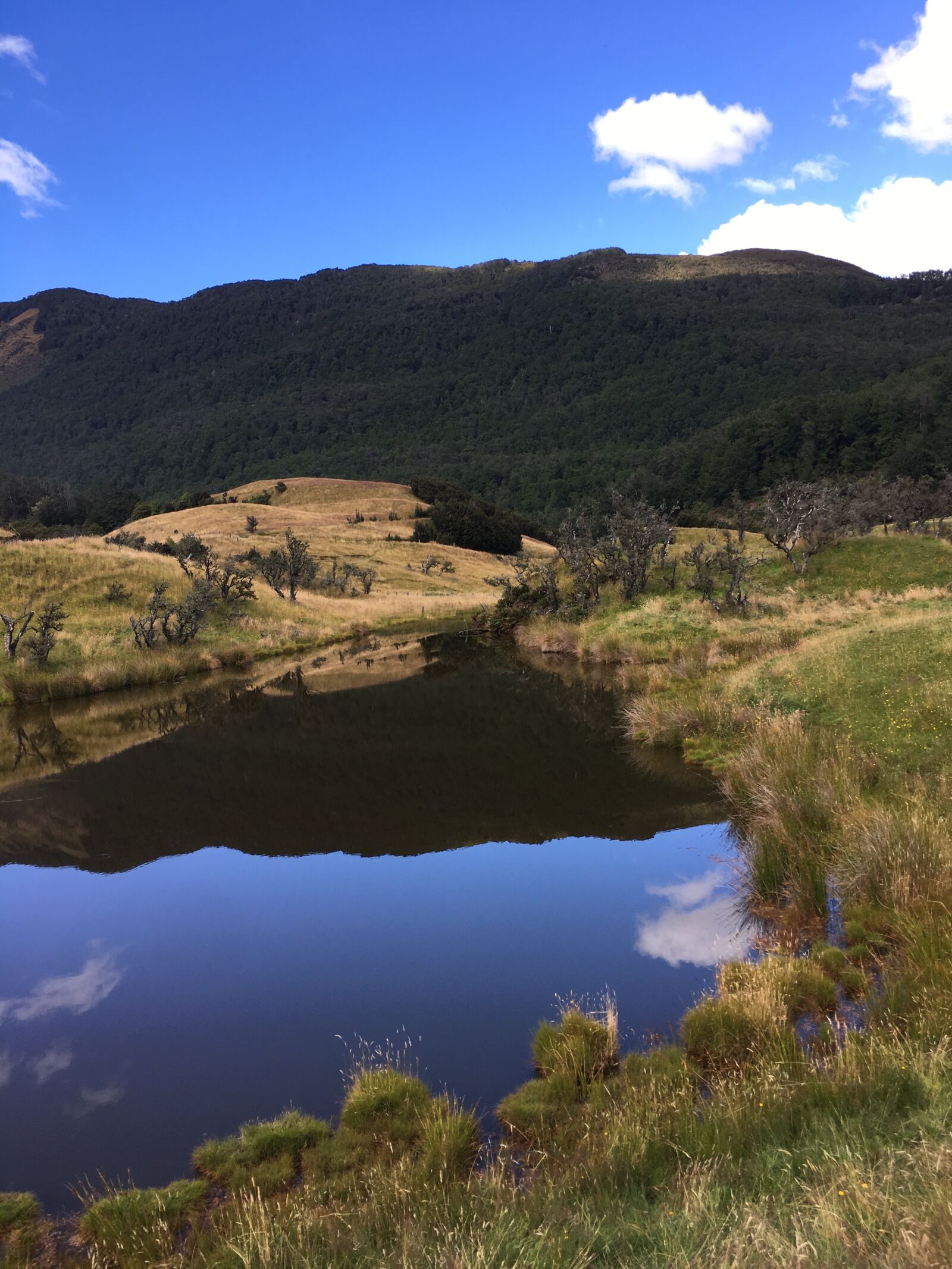Apple iPhone 6s Plus sample photo. The scenery, new zealand photography