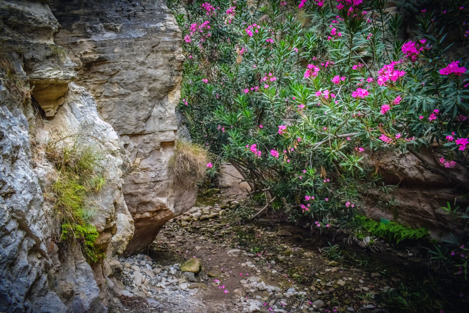 Nikon D3300 sample photo. Cyprus, akamas, national park photography