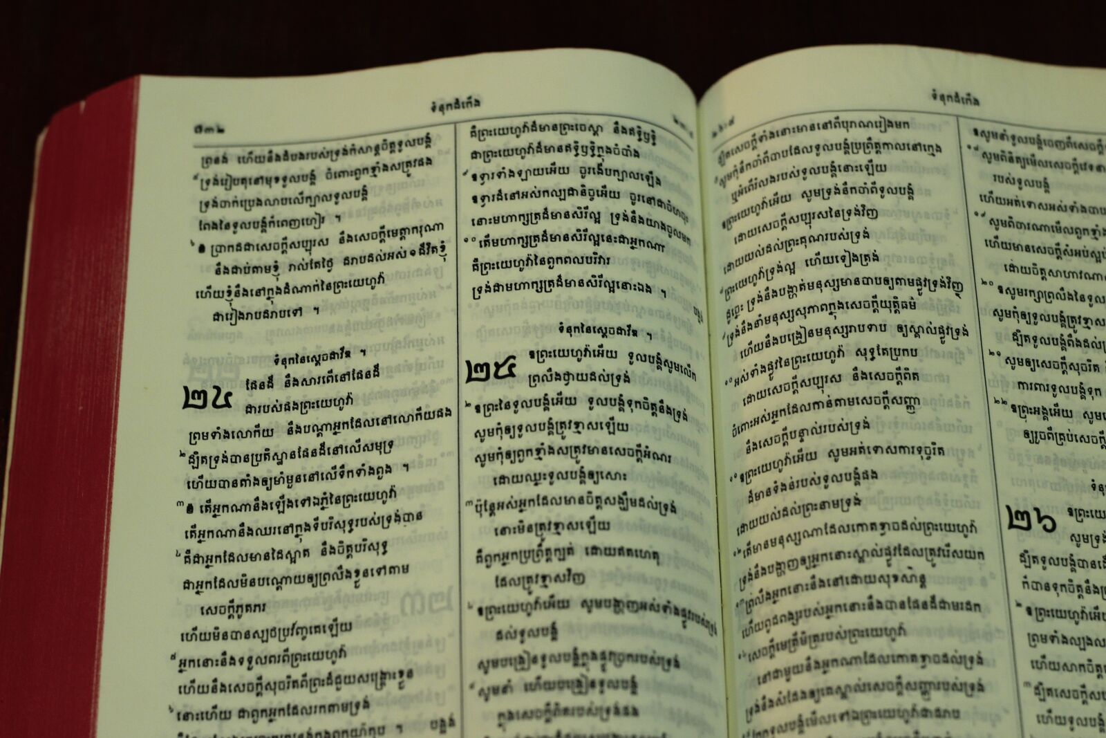 Canon EOS 600D (Rebel EOS T3i / EOS Kiss X5) + Canon EF 50mm F1.8 II sample photo. Reading, khmer bible, bible photography