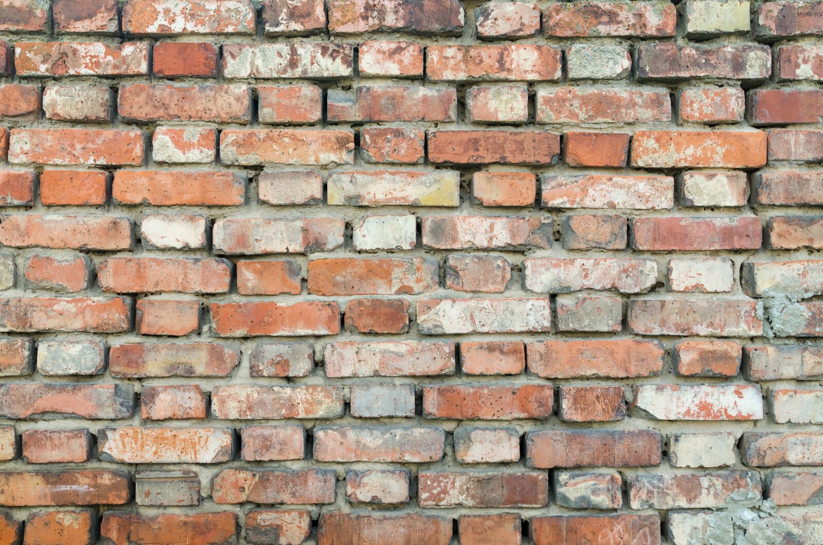 Nikon D5100 sample photo. Wall, old, texture photography