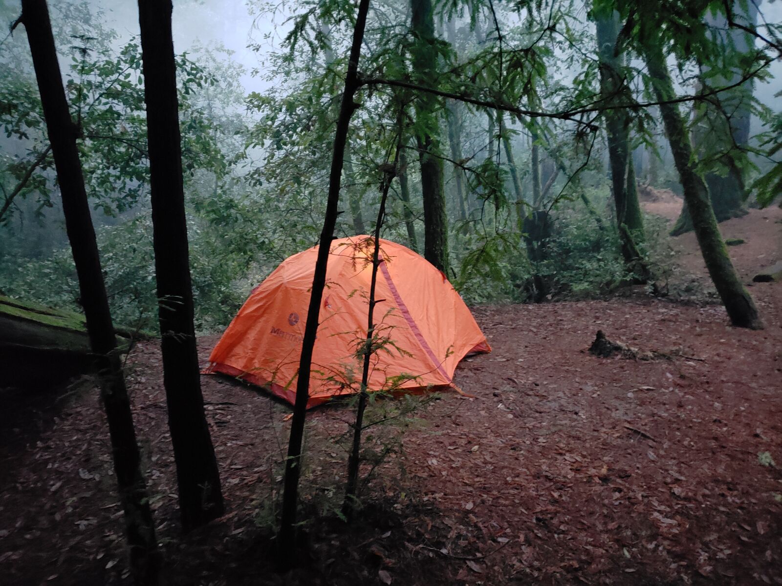 Samsung Galaxy S9 sample photo. Tent, camping, winter photography