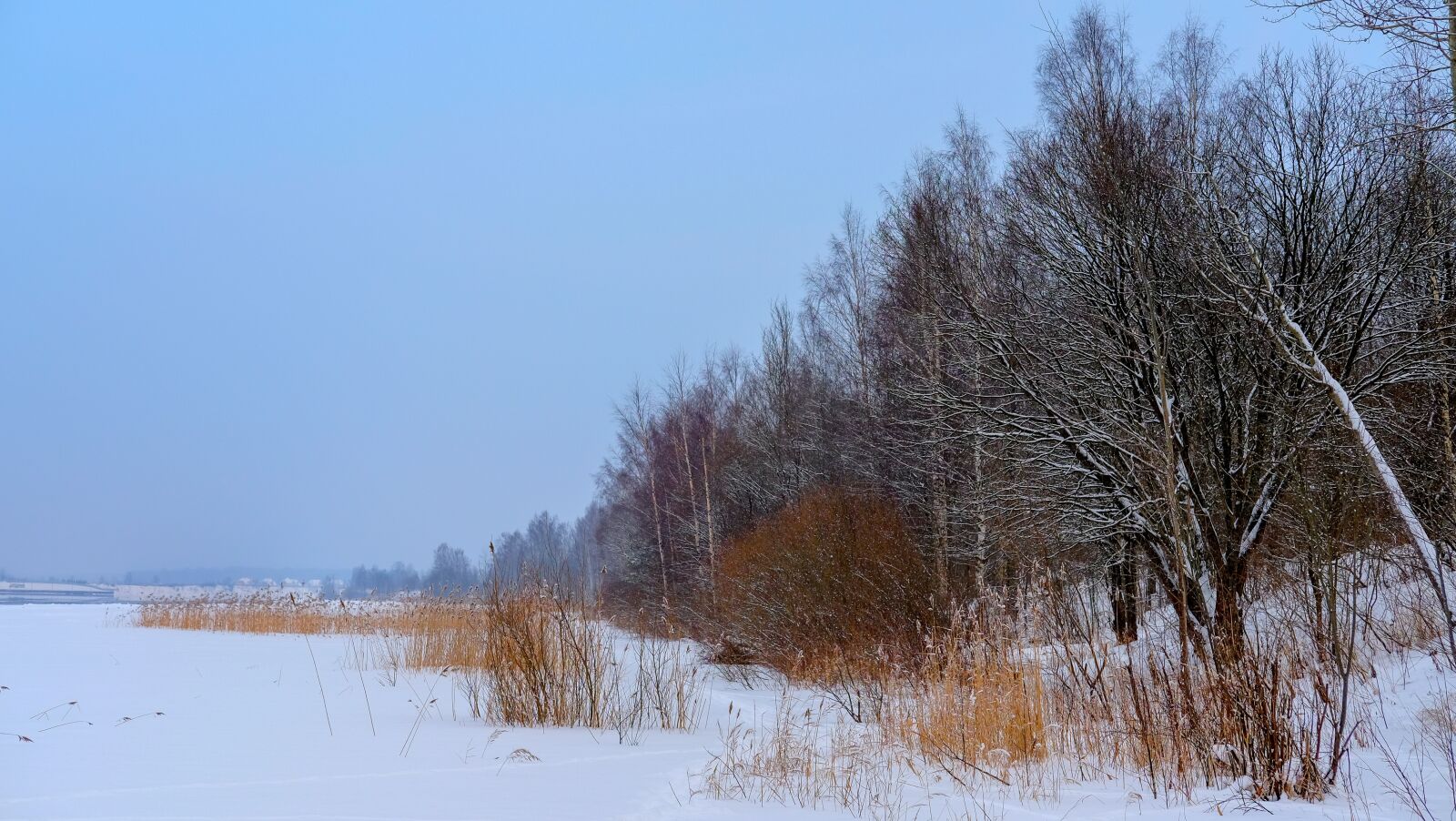 Fujifilm X-T10 + Fujifilm XF 35mm F2 R WR sample photo. Winter, nature, snow photography