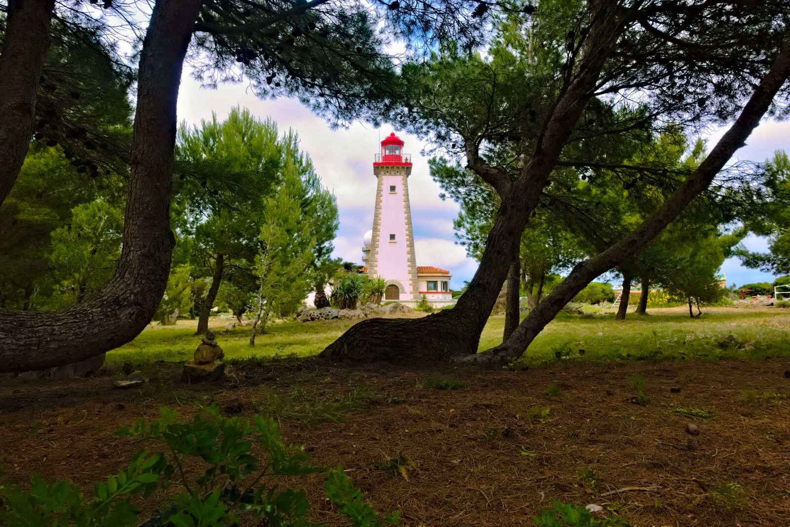 Sony DSC-RX100M5A sample photo. Lighthouse, pine, trees photography